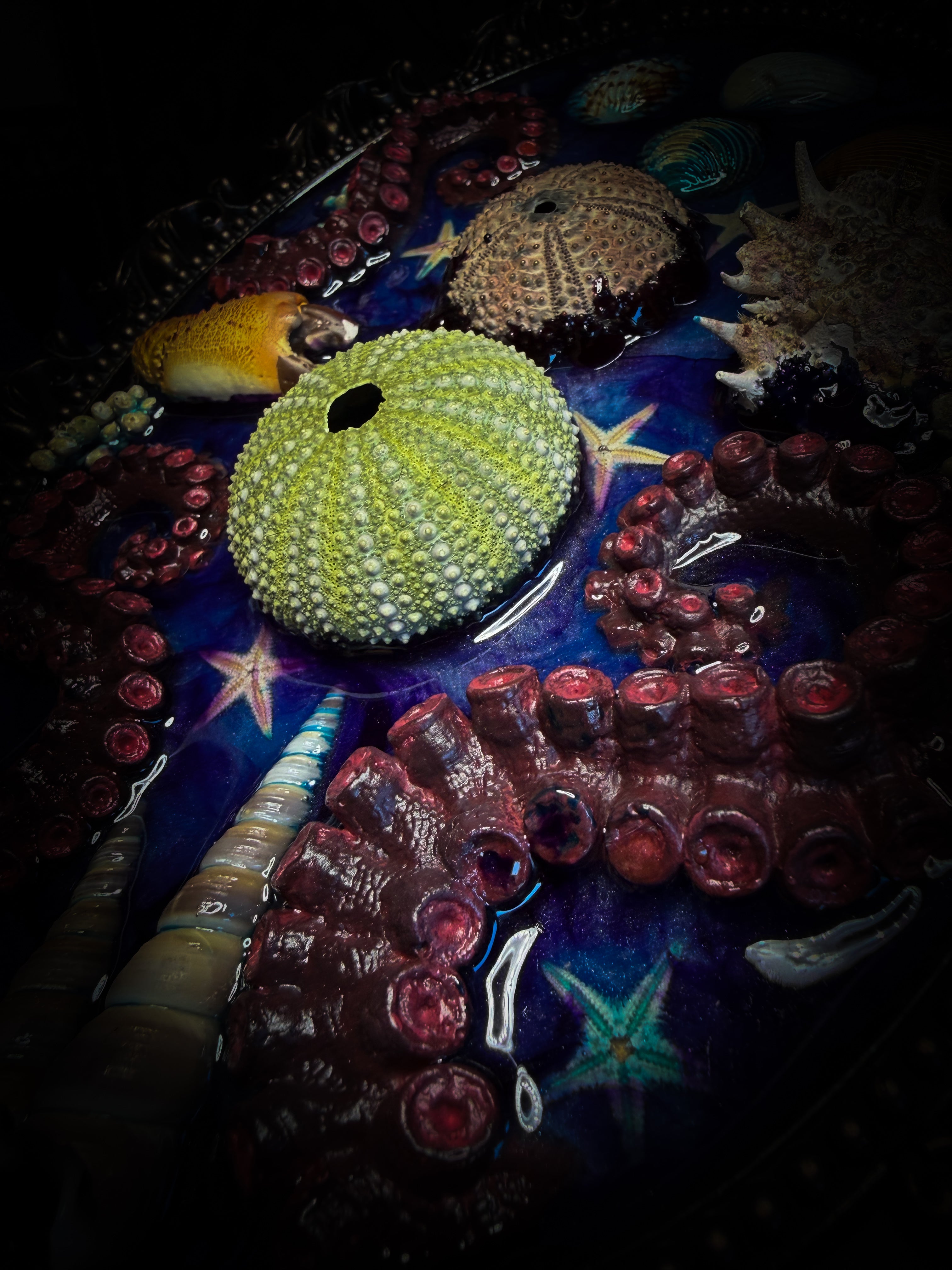 Song of the Sirens | Sea Reliquary