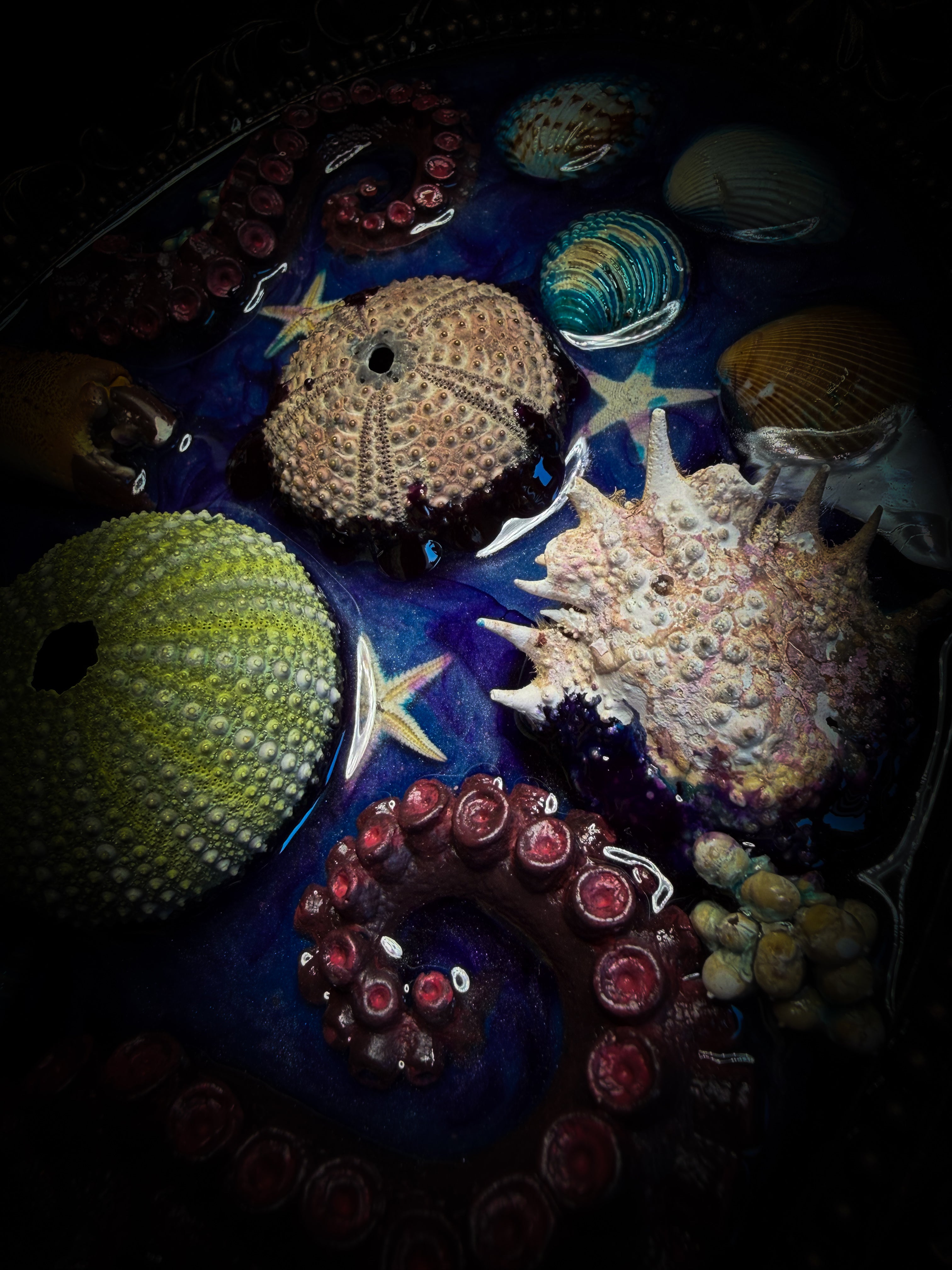 Song of the Sirens | Sea Reliquary