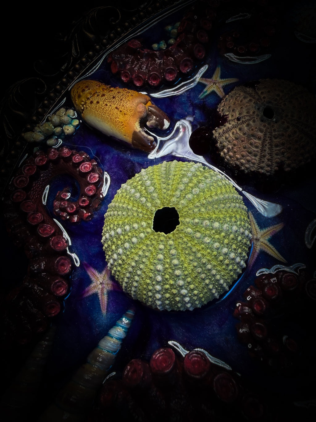 Song of the Sirens | Sea Reliquary