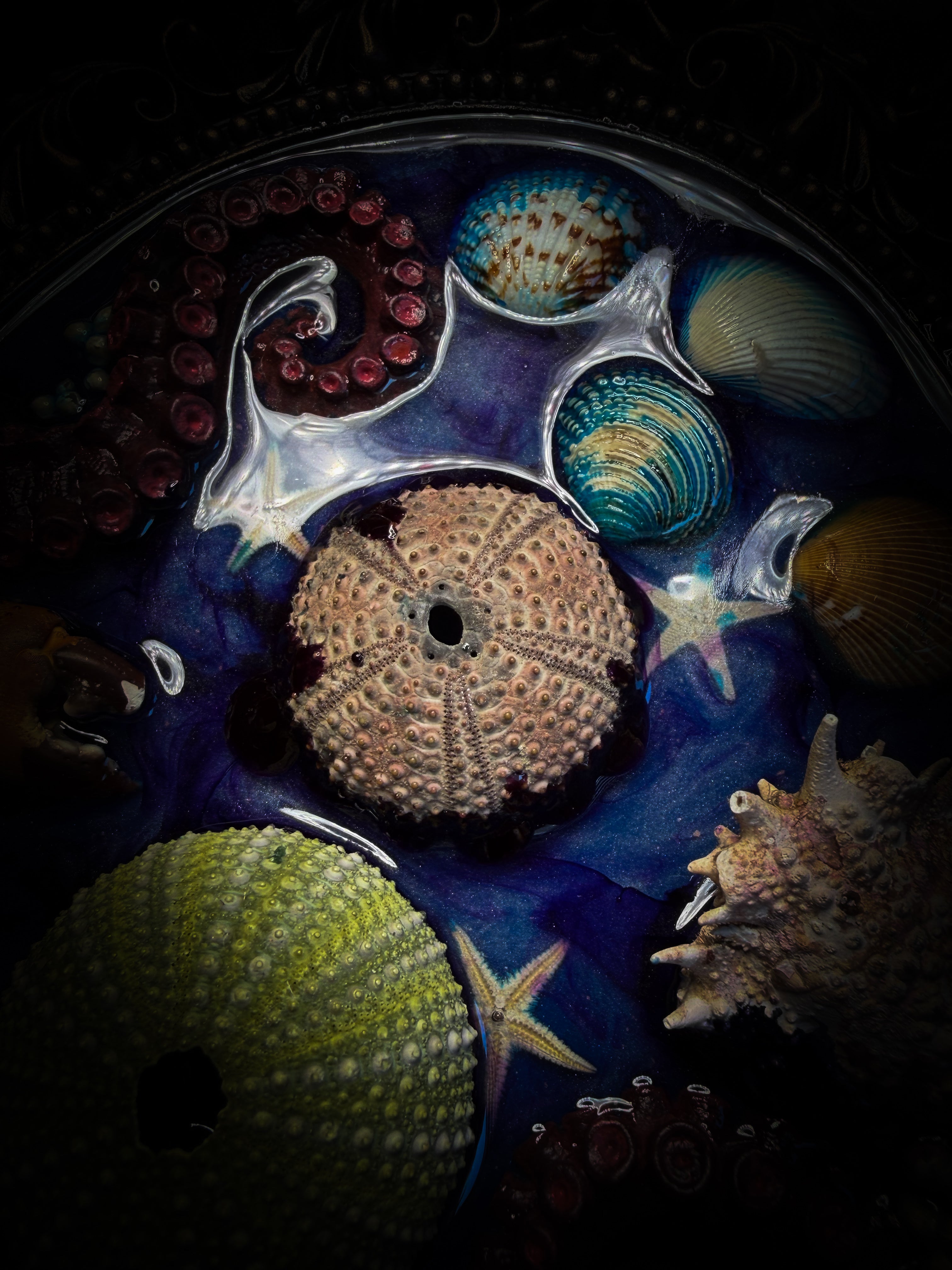 Song of the Sirens | Sea Reliquary