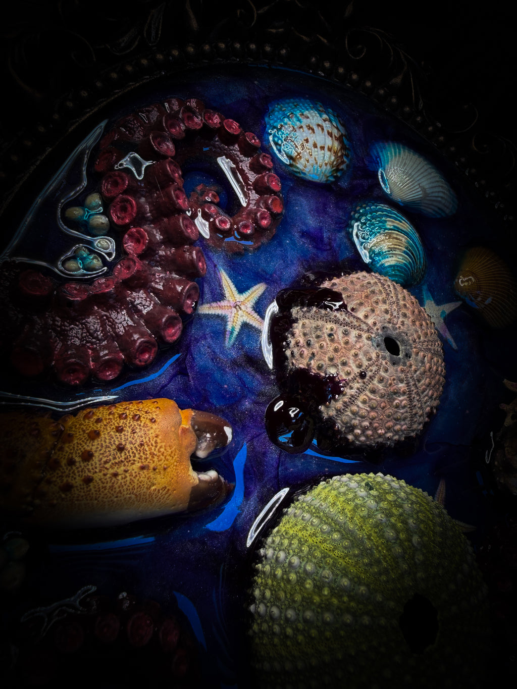 Song of the Sirens | Sea Reliquary