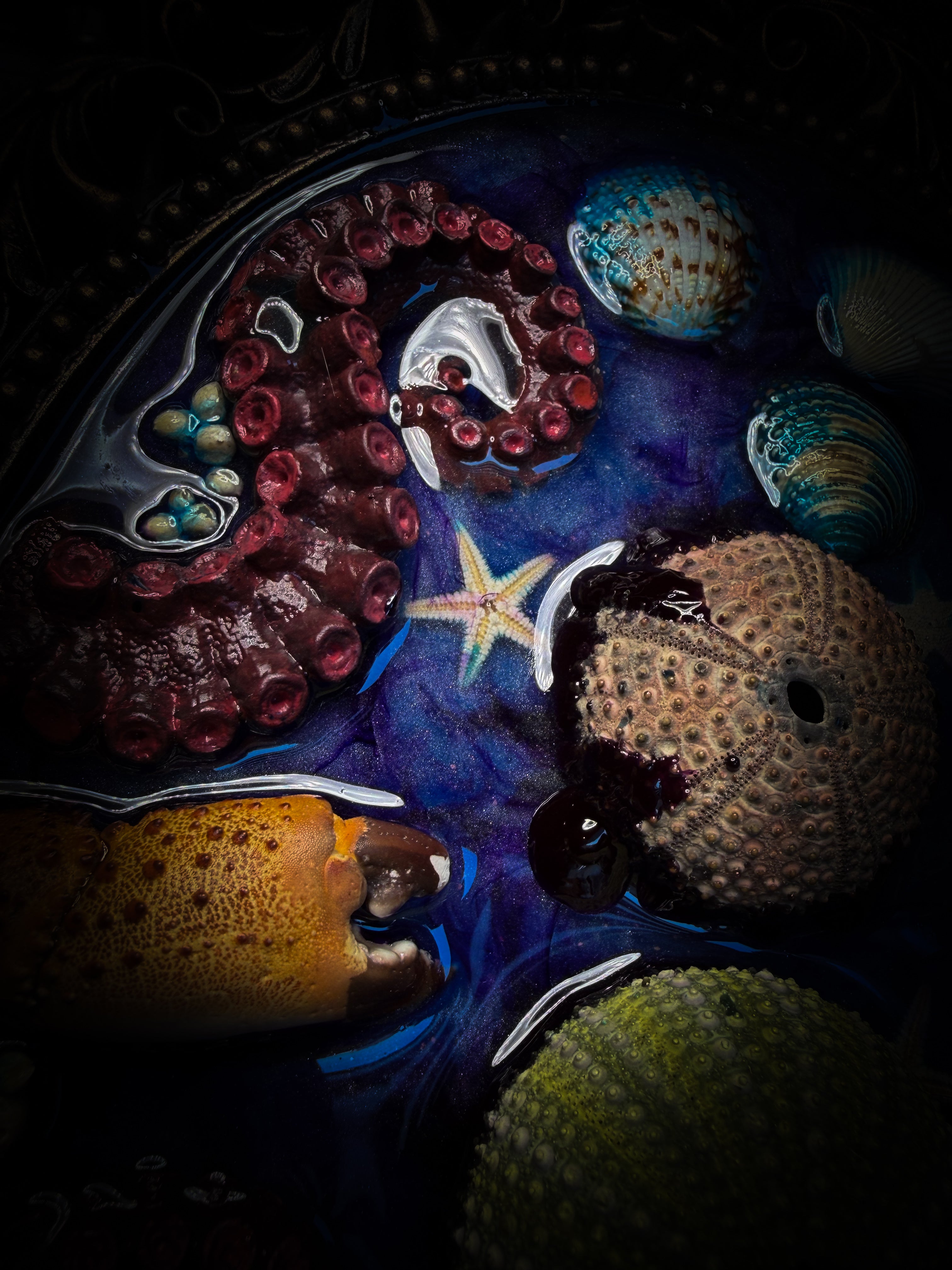 Song of the Sirens | Sea Reliquary