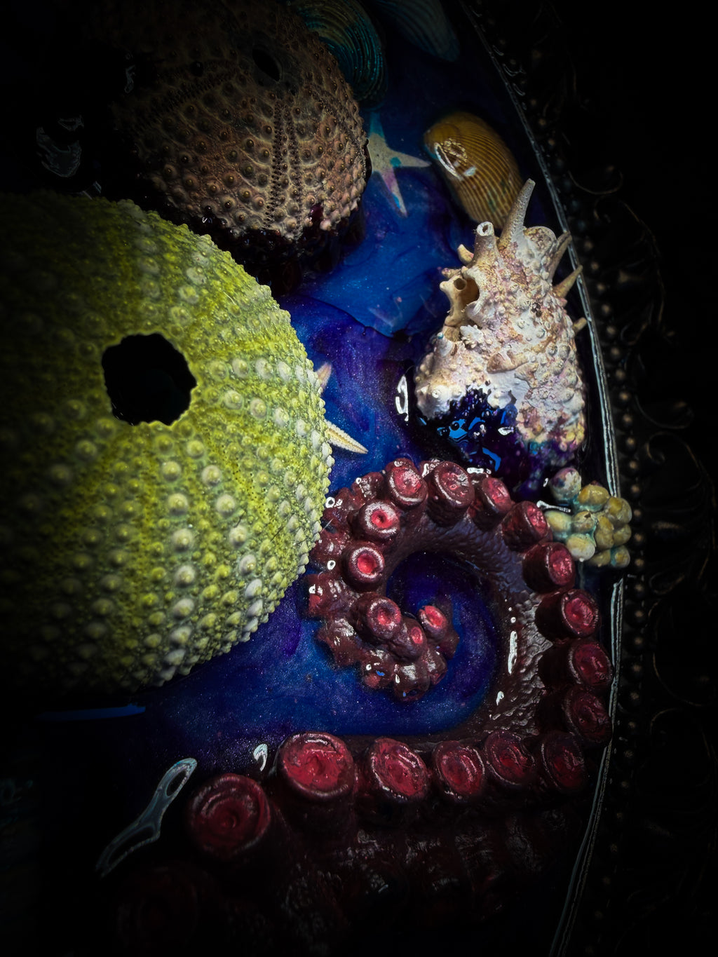 Song of the Sirens | Sea Reliquary