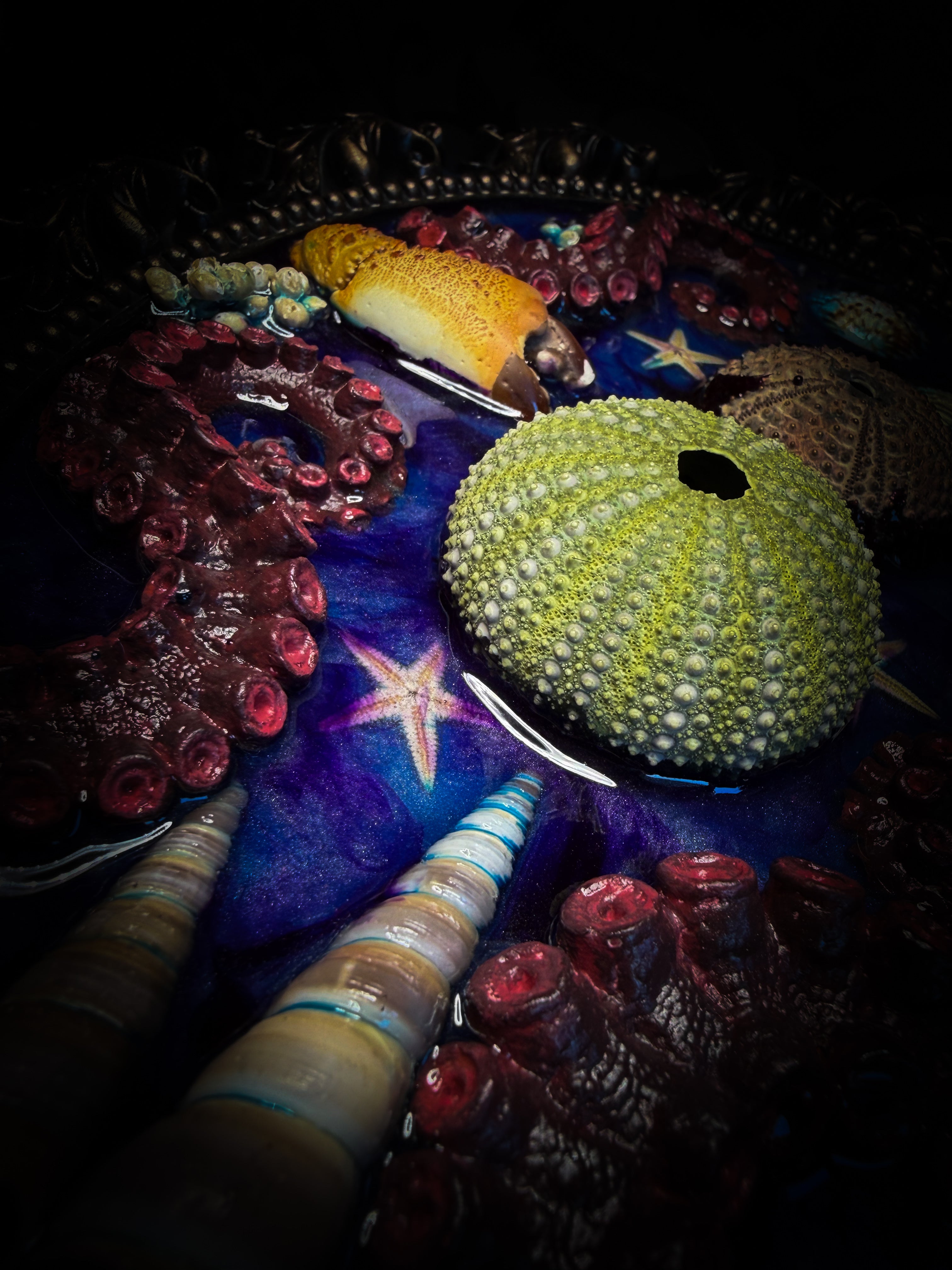 Song of the Sirens | Sea Reliquary