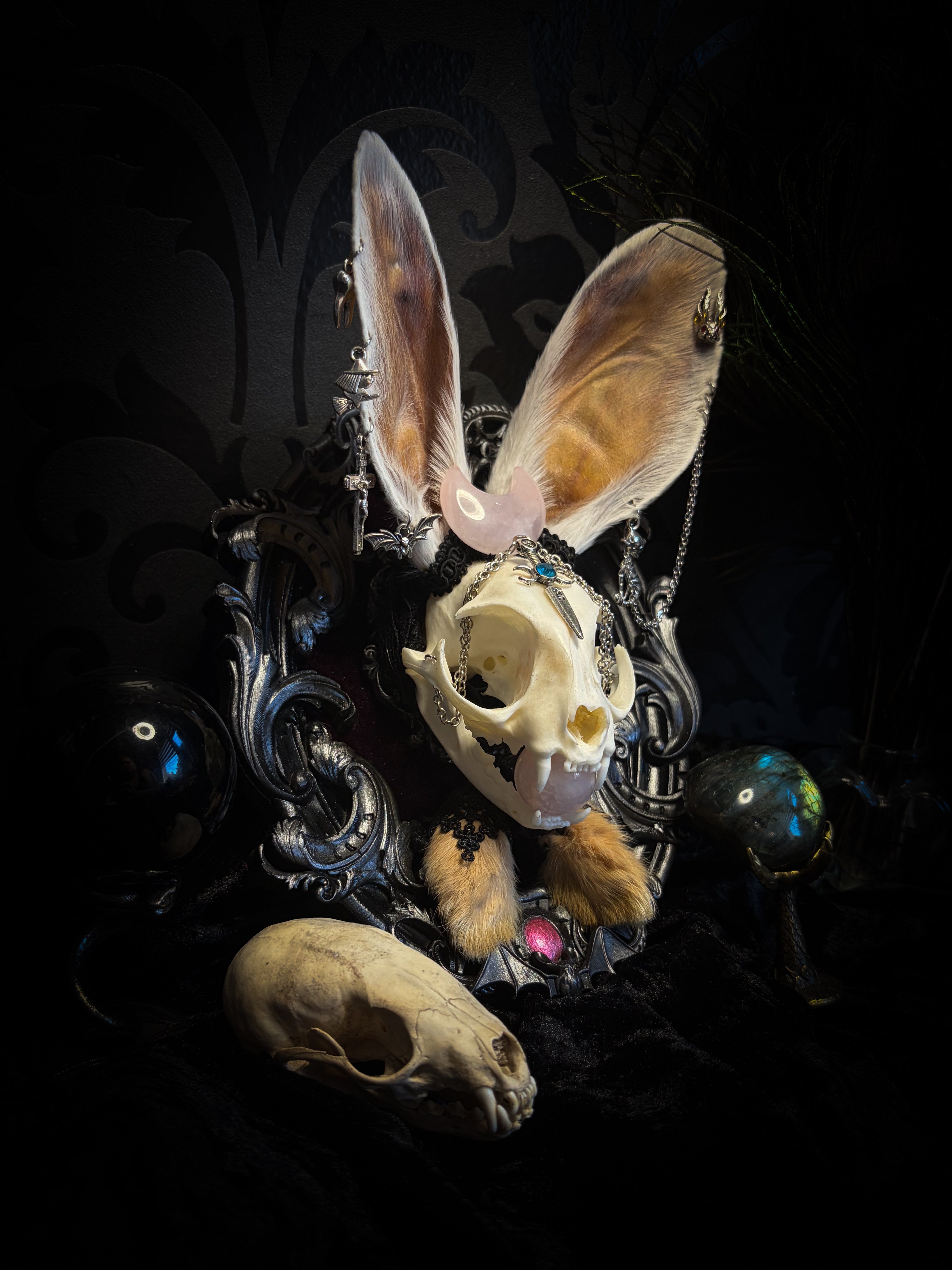 Pina Colada whimsical shadowbox — cat skull with rabbit fur ears, rose quartz orb, sword pendant and ornate silver frame