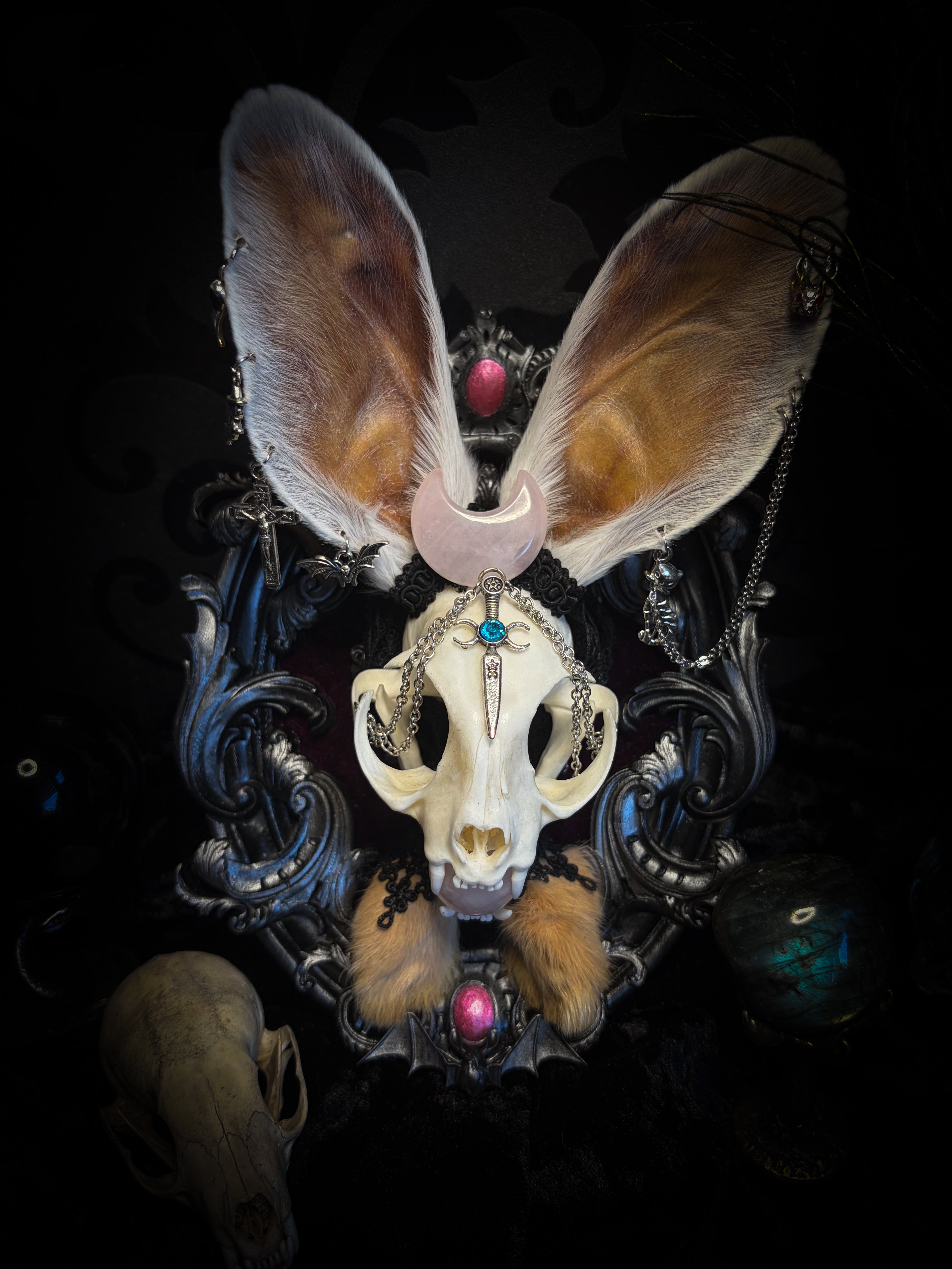Pina Colada whimsical shadowbox — cat skull with rabbit fur ears, rose quartz orb, sword pendant and ornate silver frame