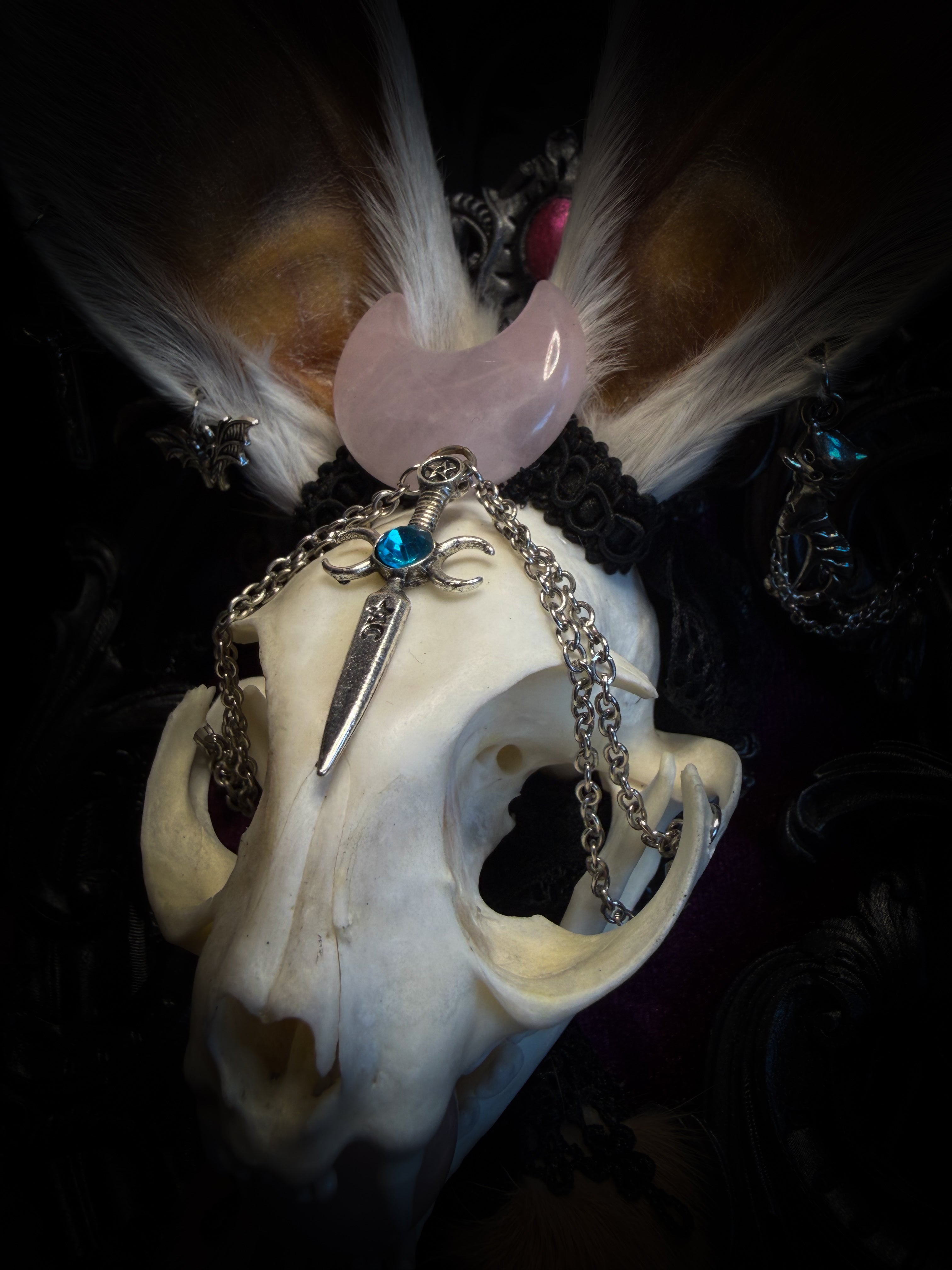 Pina Colada whimsical shadowbox — cat skull with rabbit fur ears, rose quartz orb, sword pendant and ornate silver frame
