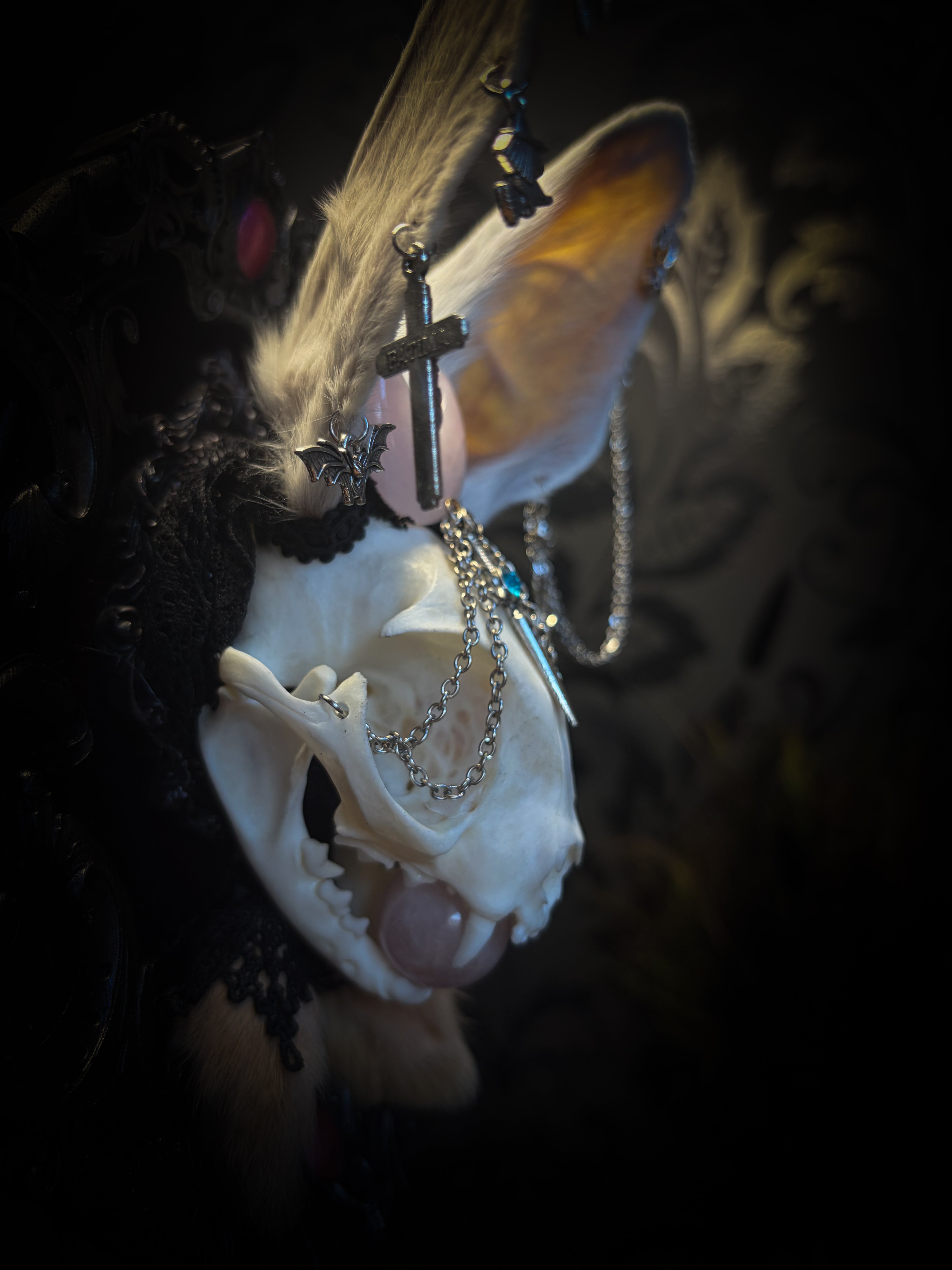 Pina Colada whimsical shadowbox — cat skull with rabbit fur ears, rose quartz orb, sword pendant and ornate silver frame