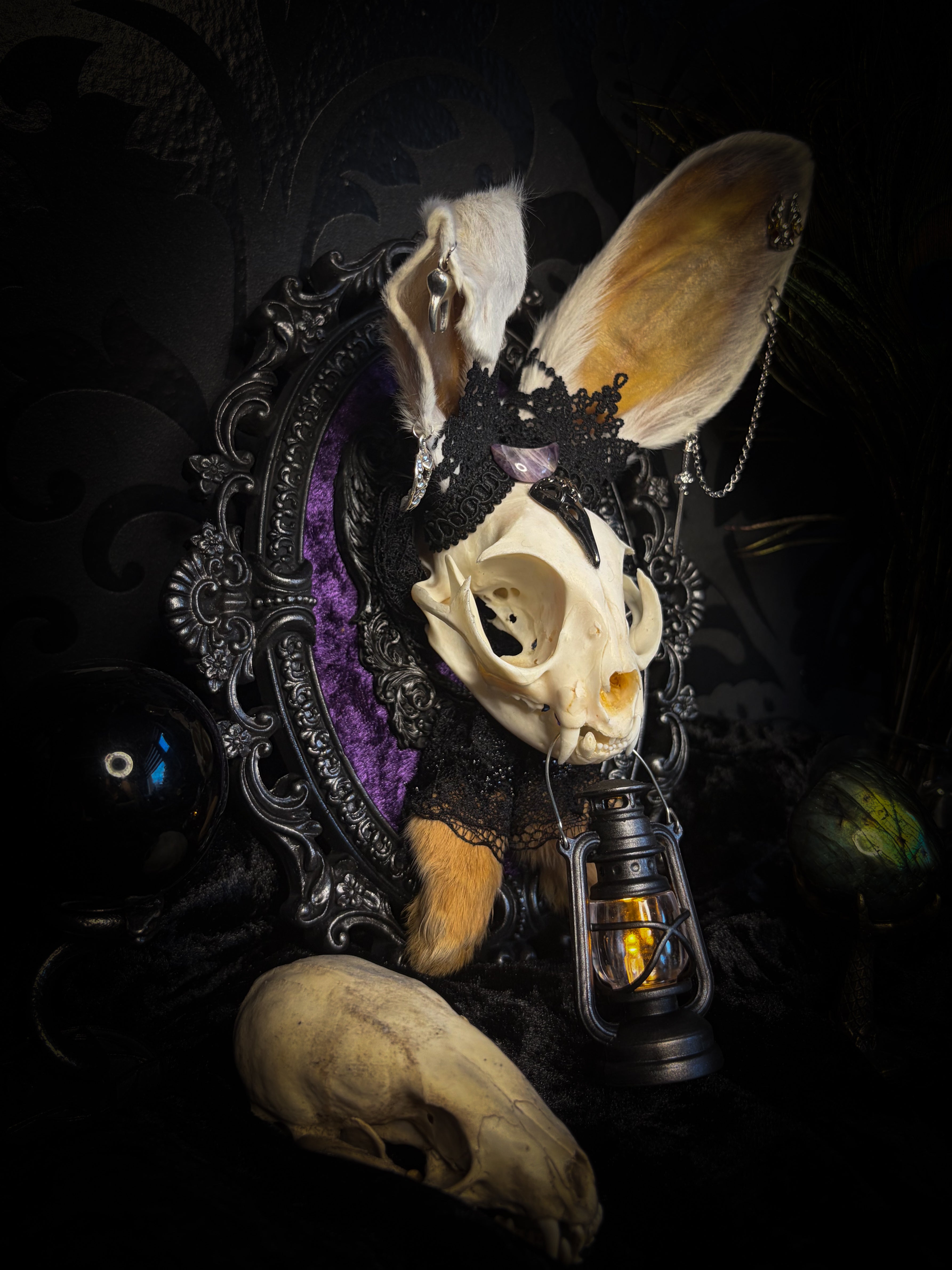 Limbo whimsical frame — cat skull with mismatched rabbit fur ears (one standing, one folded), amethyst moon, crow skull, working lantern and ornate black baroque frame