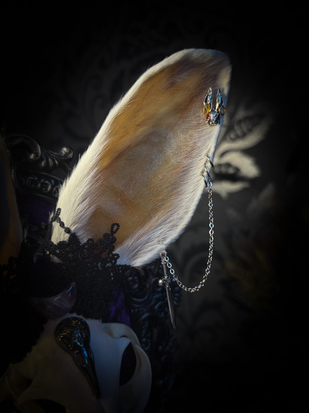 Limbo whimsical frame — cat skull with mismatched rabbit fur ears (one standing, one folded), amethyst moon, crow skull, working lantern and ornate black baroque frame