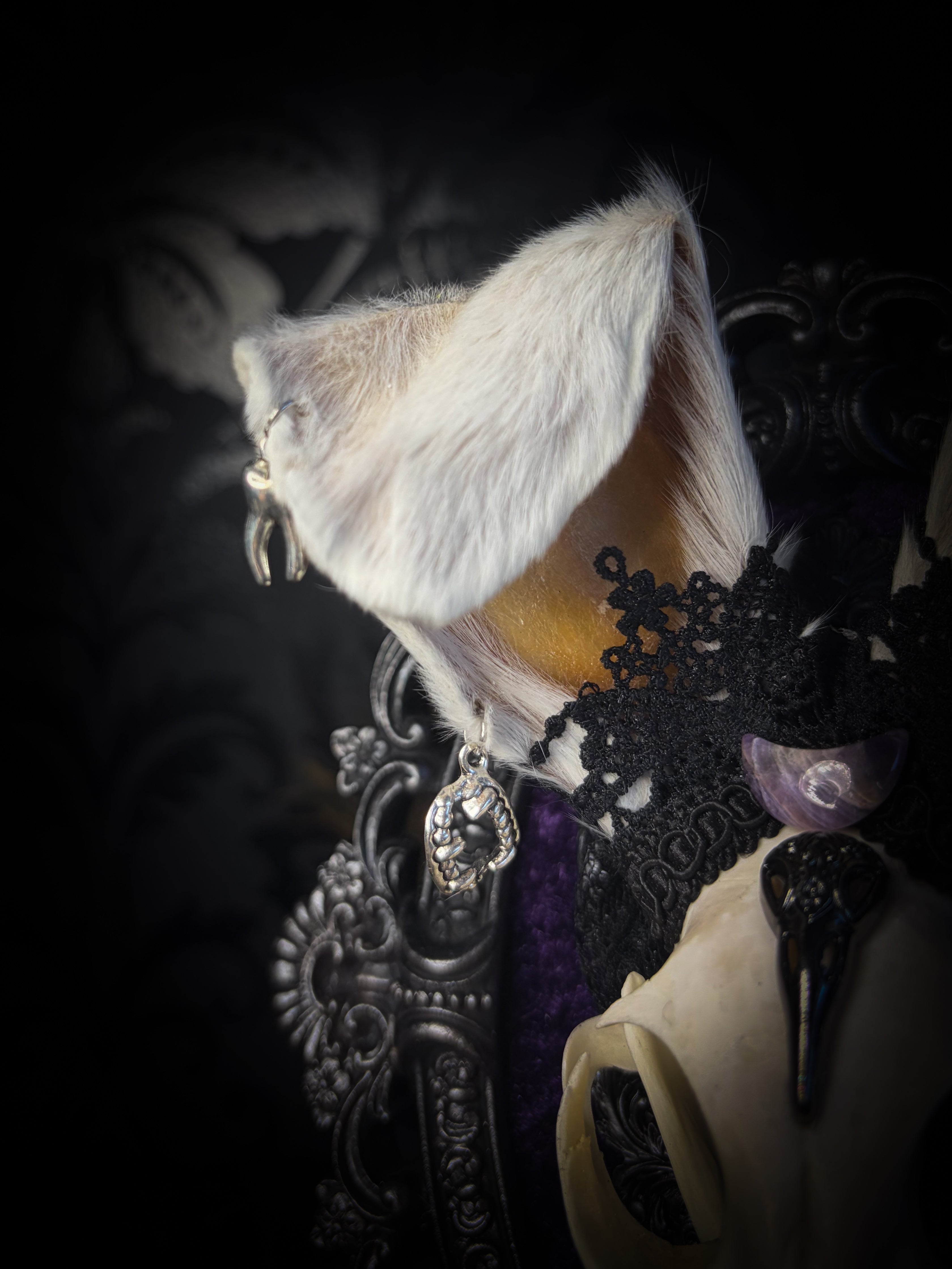 Limbo whimsical frame — cat skull with mismatched rabbit fur ears (one standing, one folded), amethyst moon, crow skull, working lantern and ornate black baroque frame