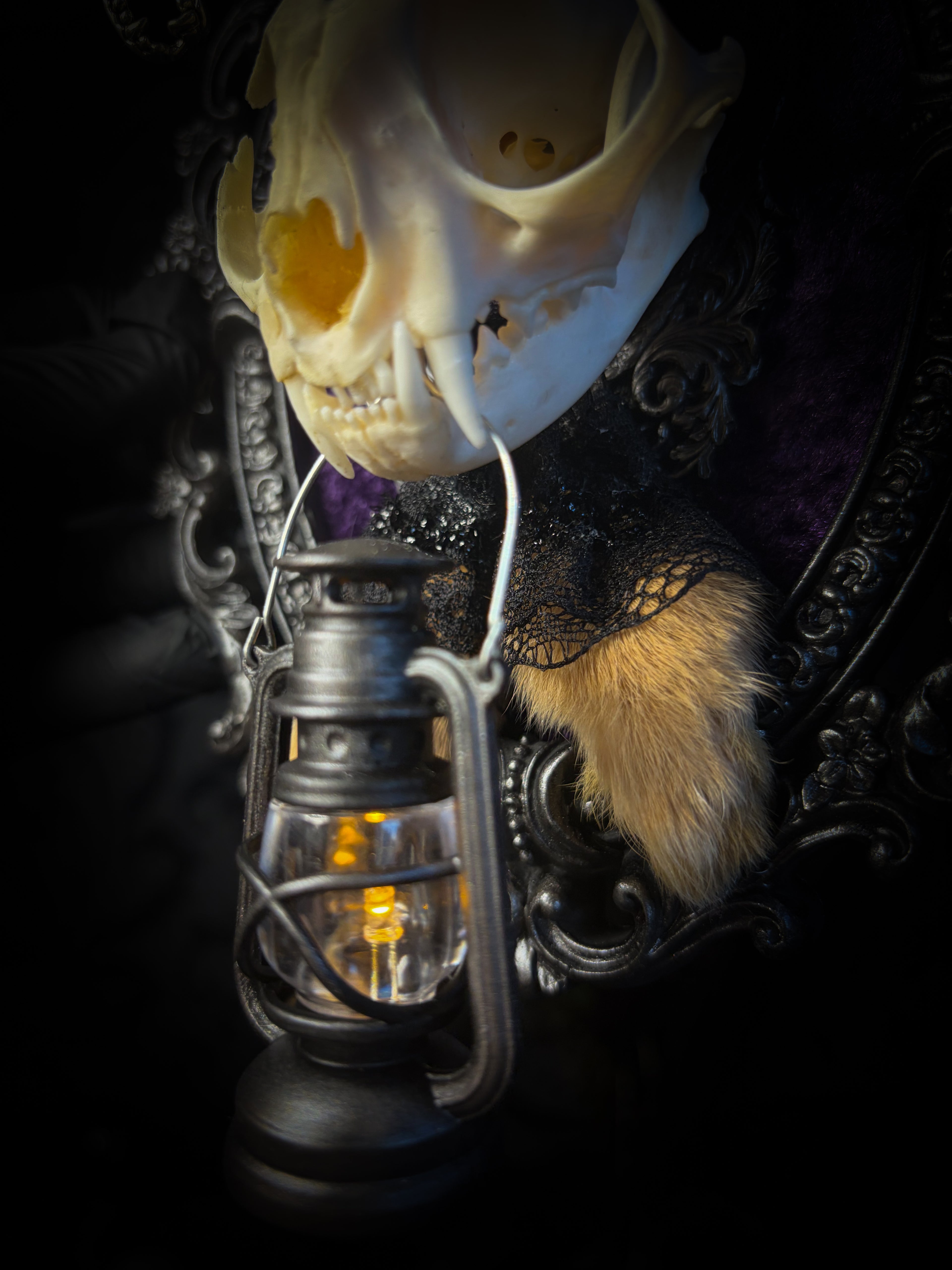 Limbo whimsical frame — cat skull with mismatched rabbit fur ears (one standing, one folded), amethyst moon, crow skull, working lantern and ornate black baroque frame
