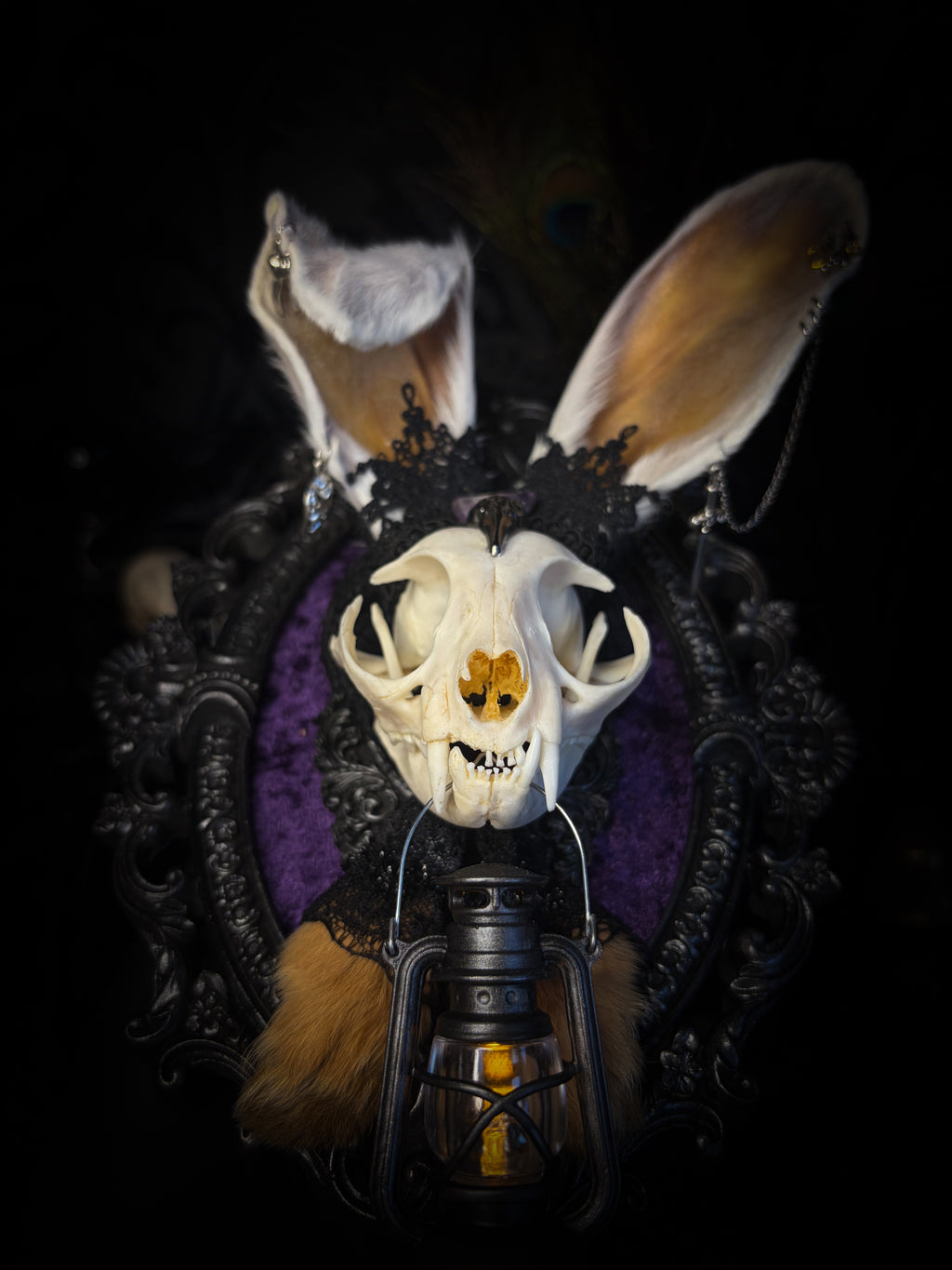 Limbo whimsical frame — cat skull with mismatched rabbit fur ears (one standing, one folded), amethyst moon, crow skull, working lantern and ornate black baroque frame