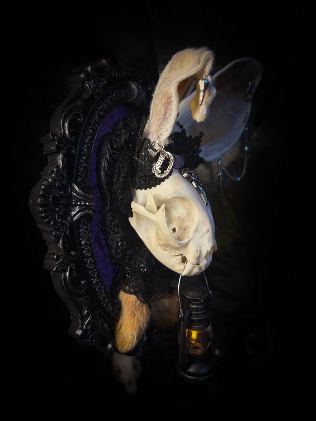 Limbo whimsical frame — cat skull with mismatched rabbit fur ears (one standing, one folded), amethyst moon, crow skull, working lantern and ornate black baroque frame