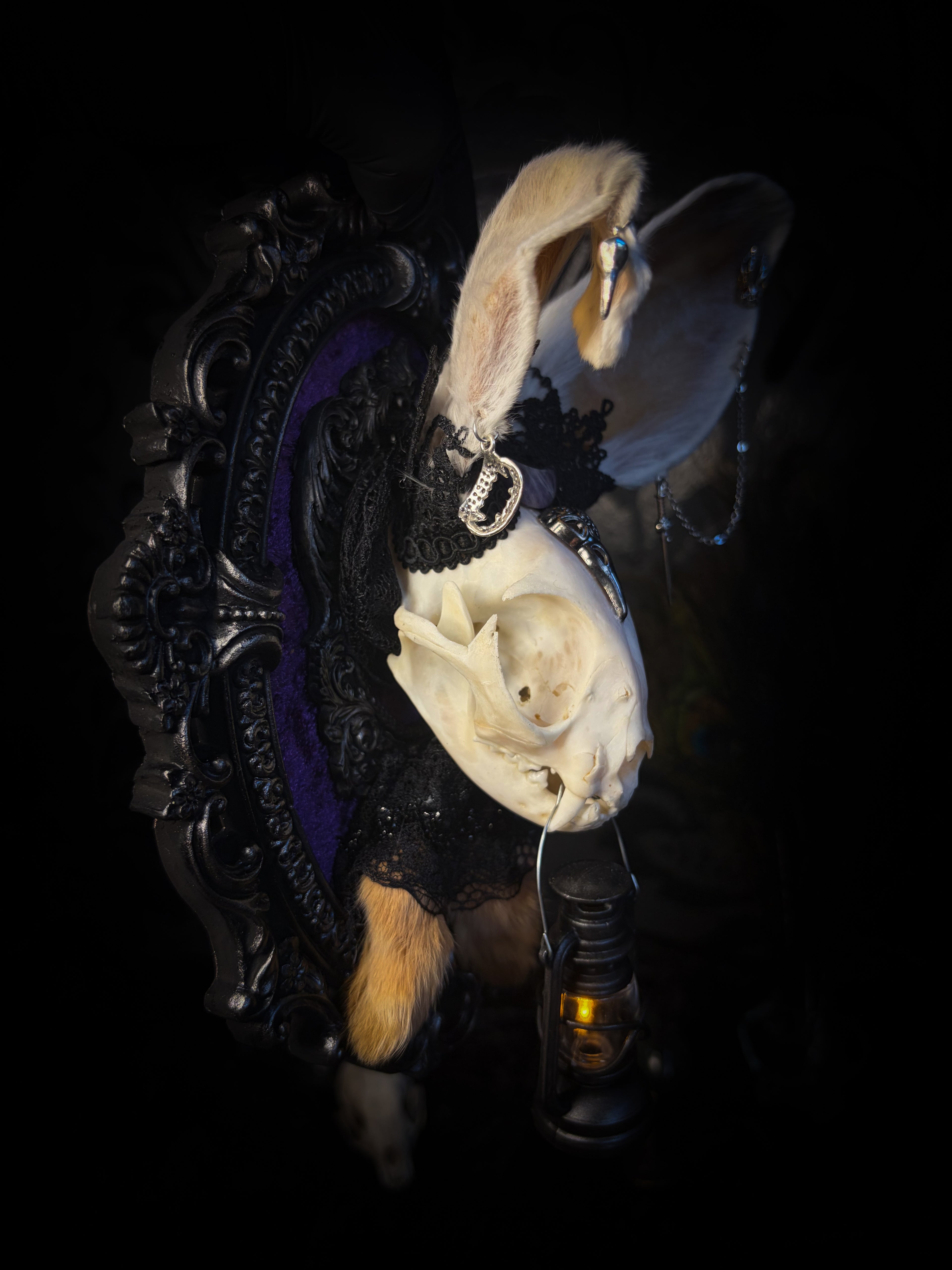 Limbo whimsical frame — cat skull with mismatched rabbit fur ears (one standing, one folded), amethyst moon, crow skull, working lantern and ornate black baroque frame