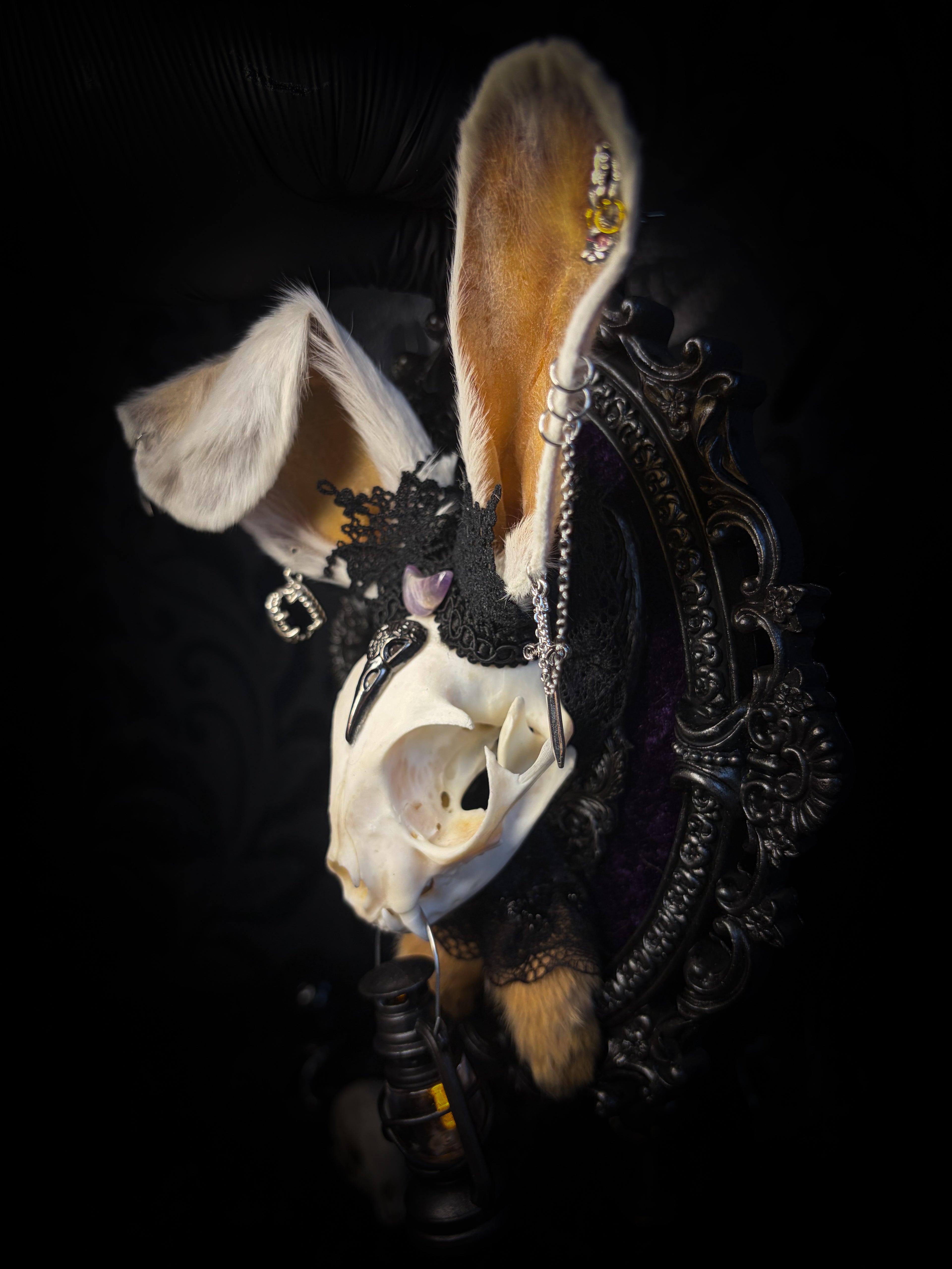 Limbo whimsical frame — cat skull with mismatched rabbit fur ears (one standing, one folded), amethyst moon, crow skull, working lantern and ornate black baroque frame