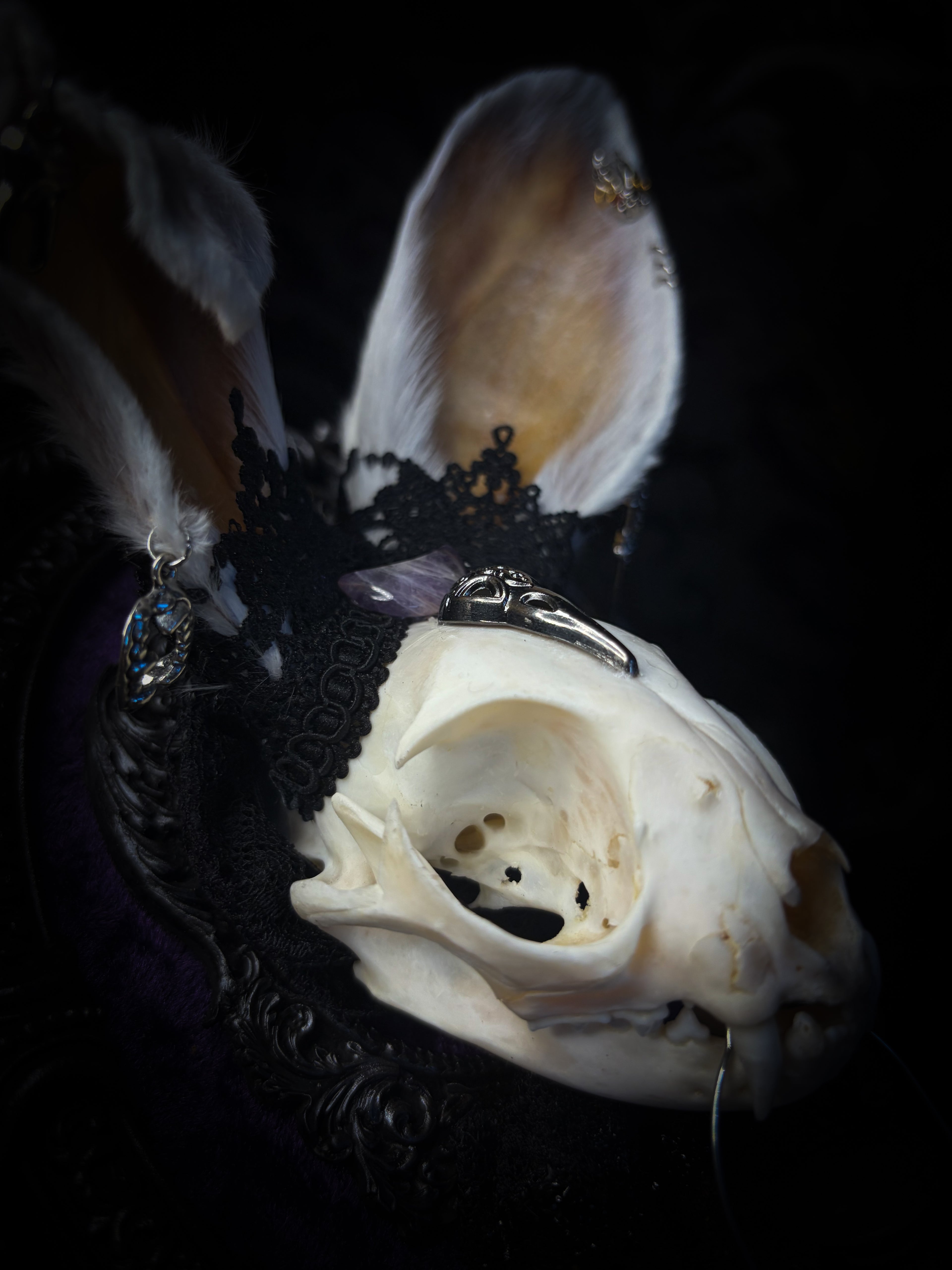 Limbo whimsical frame — cat skull with mismatched rabbit fur ears (one standing, one folded), amethyst moon, crow skull, working lantern and ornate black baroque frame