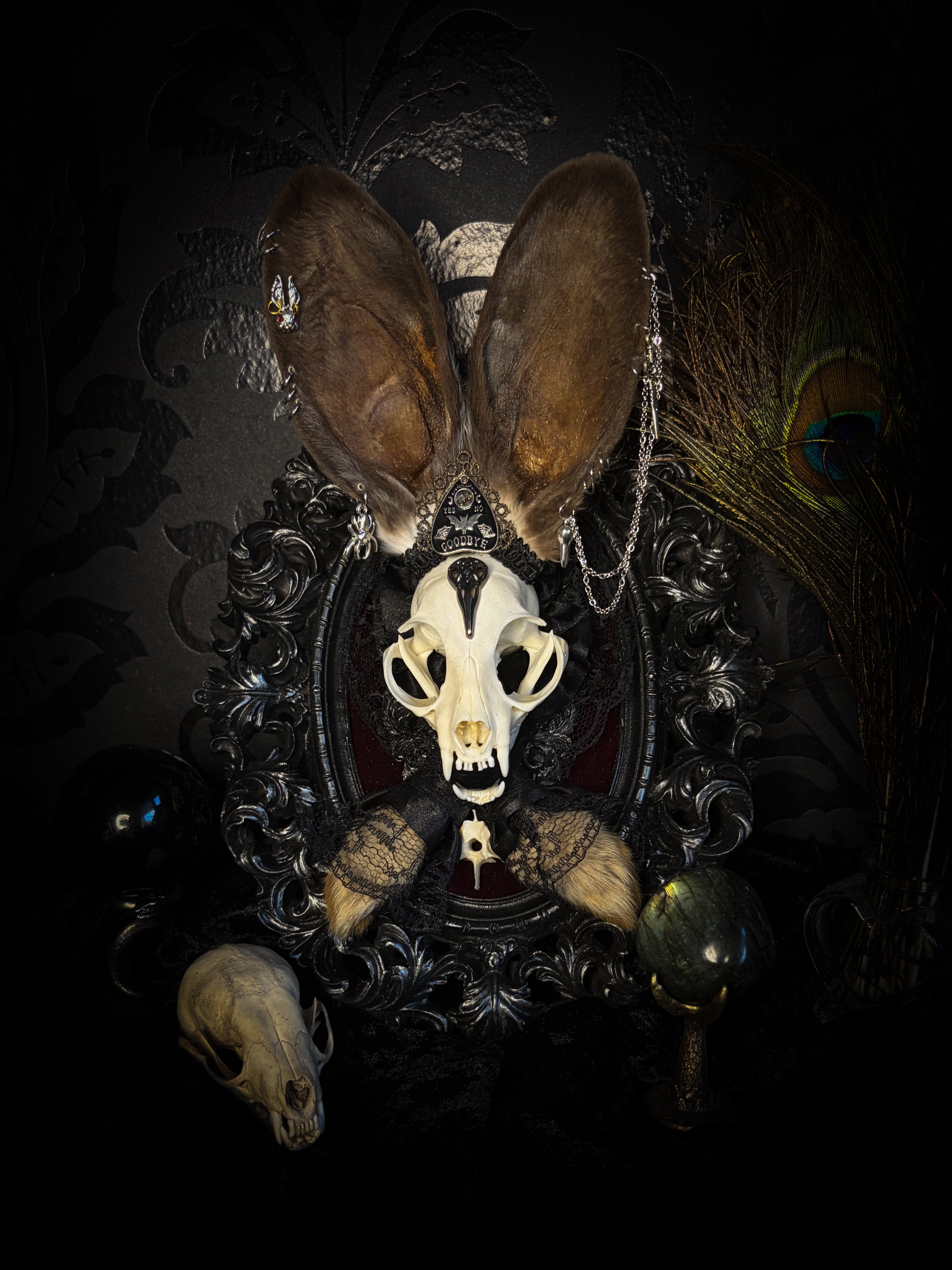 Vampiria whimsical shadowbox — cat skull with rabbit fur ears, red velvet, black lace, ouija planchette and ornate silver-black frame