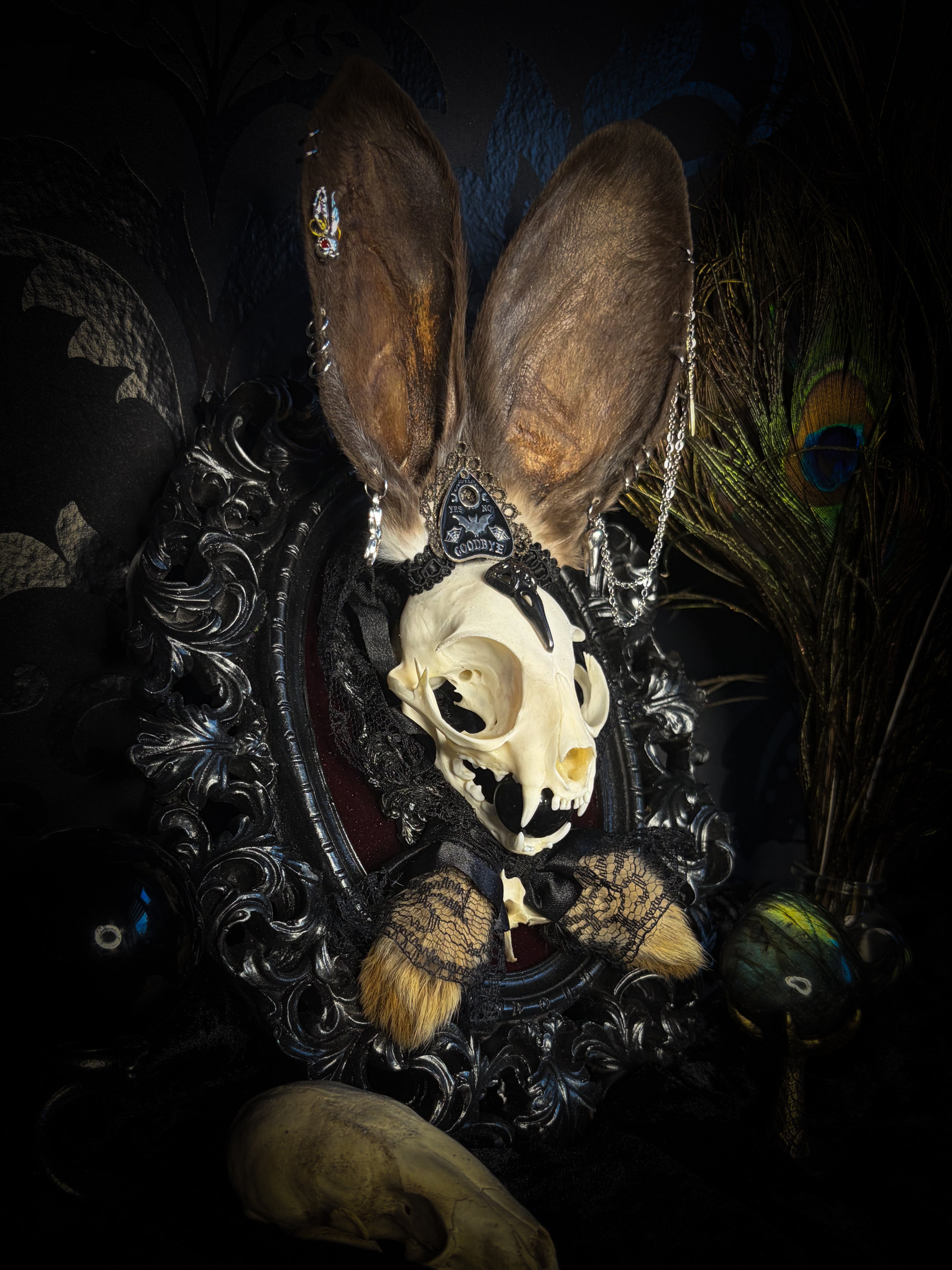 Vampiria whimsical shadowbox — cat skull with rabbit fur ears, red velvet, black lace, ouija planchette and ornate silver-black frame