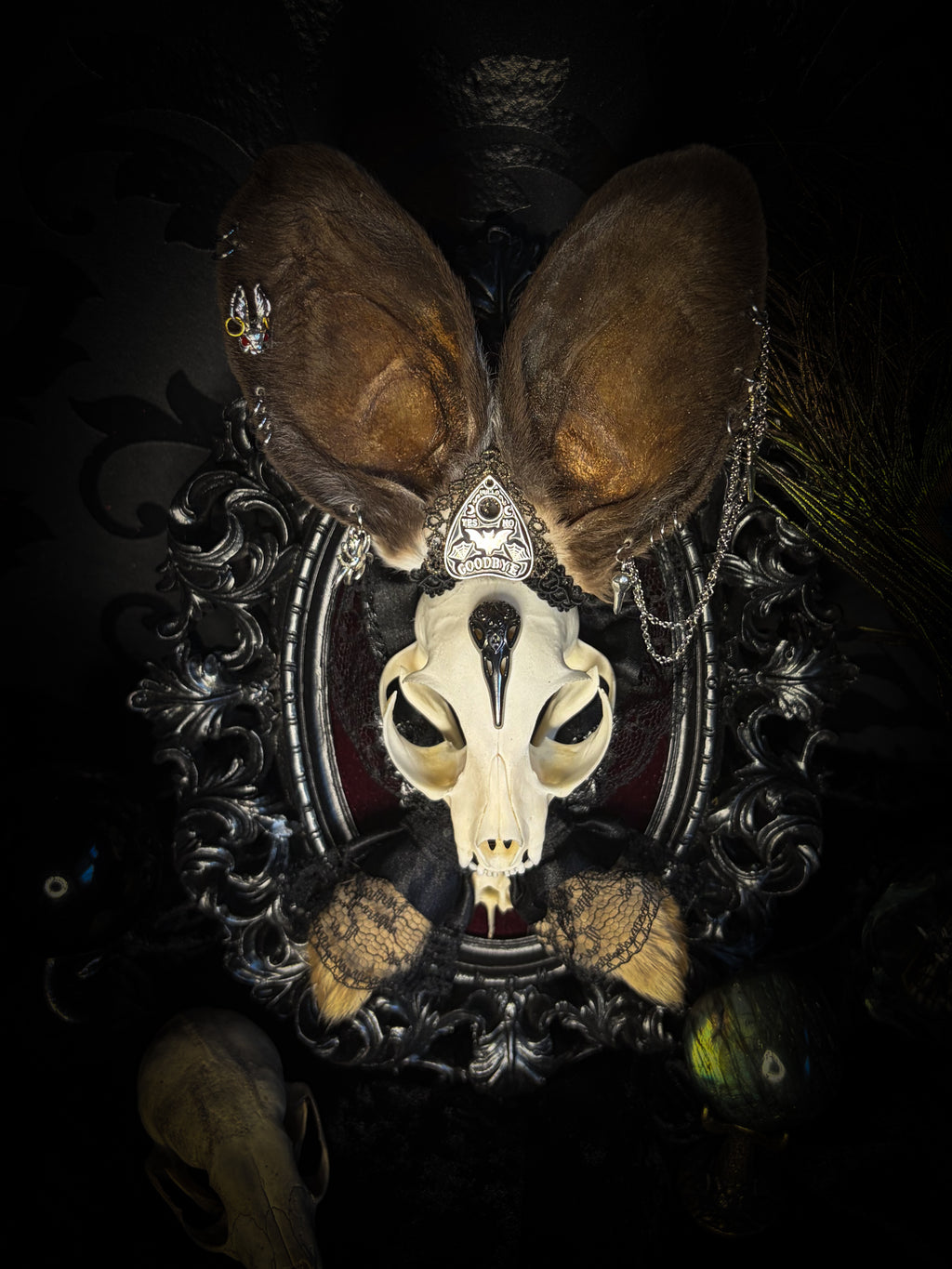 Vampiria whimsical shadowbox — cat skull with rabbit fur ears, red velvet, black lace, ouija planchette and ornate silver-black frame