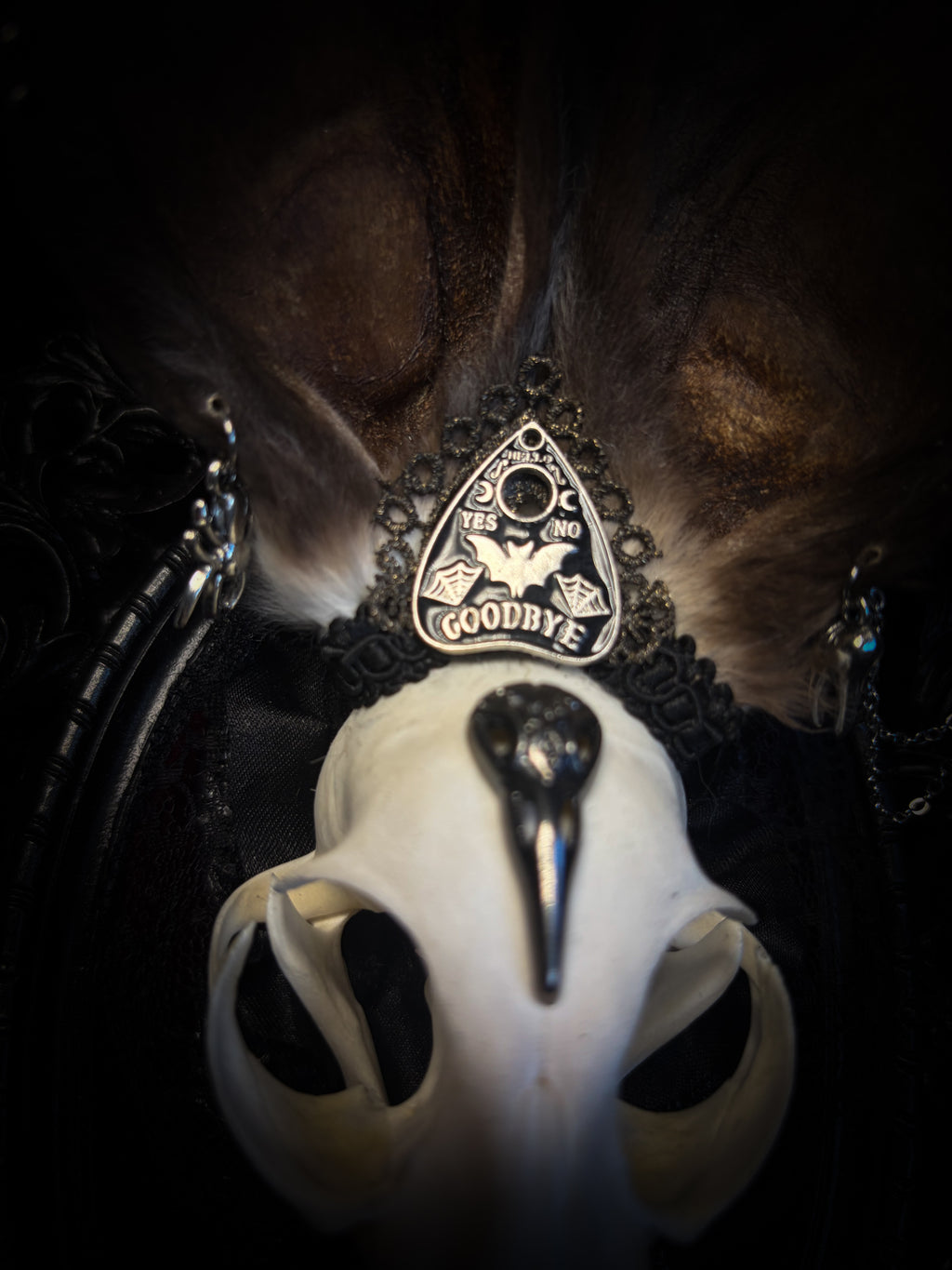 Vampiria whimsical shadowbox — cat skull with rabbit fur ears, red velvet, black lace, ouija planchette and ornate silver-black frame