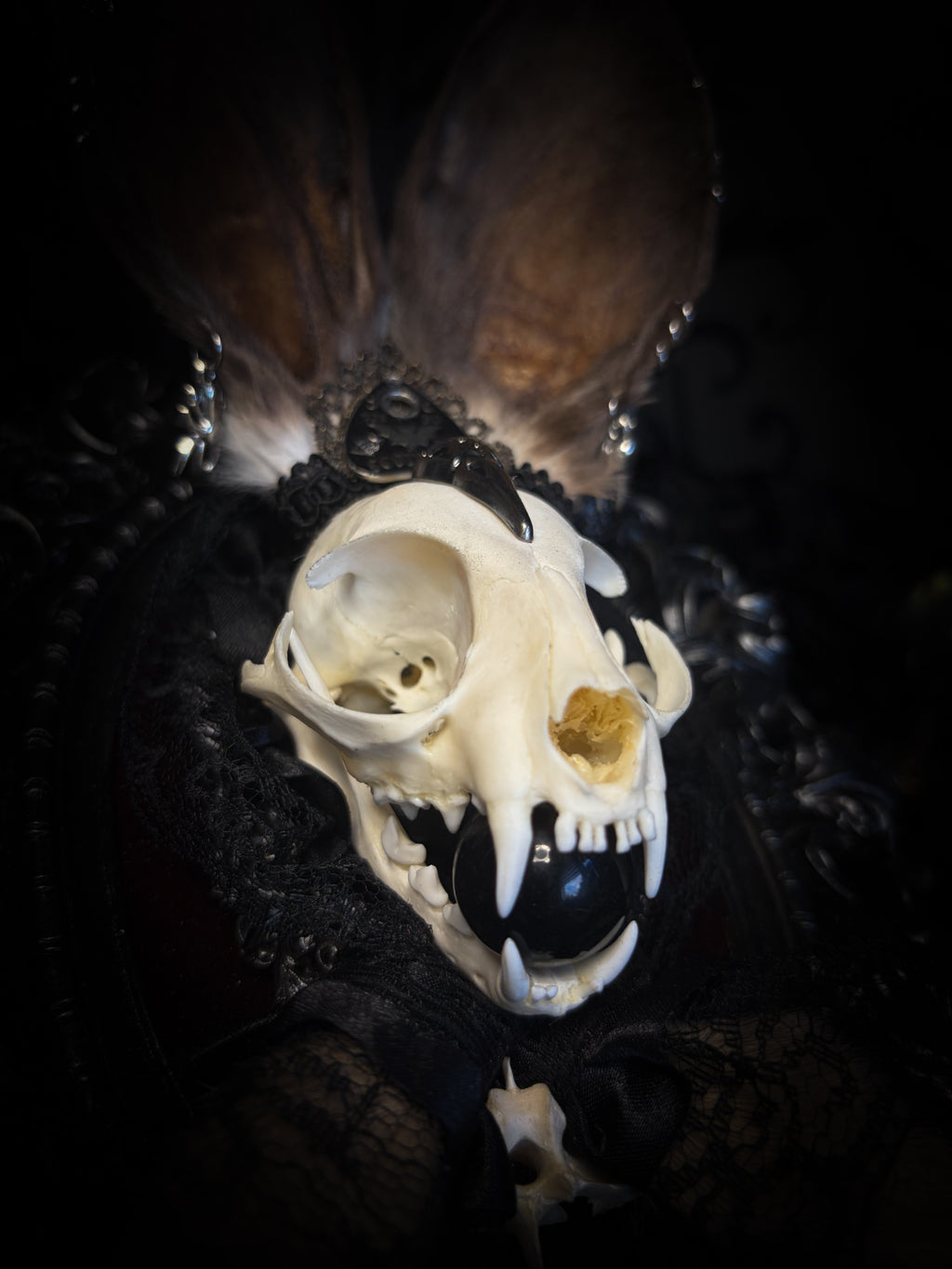 Vampiria whimsical shadowbox — cat skull with rabbit fur ears, red velvet, black lace, ouija planchette and ornate silver-black frame