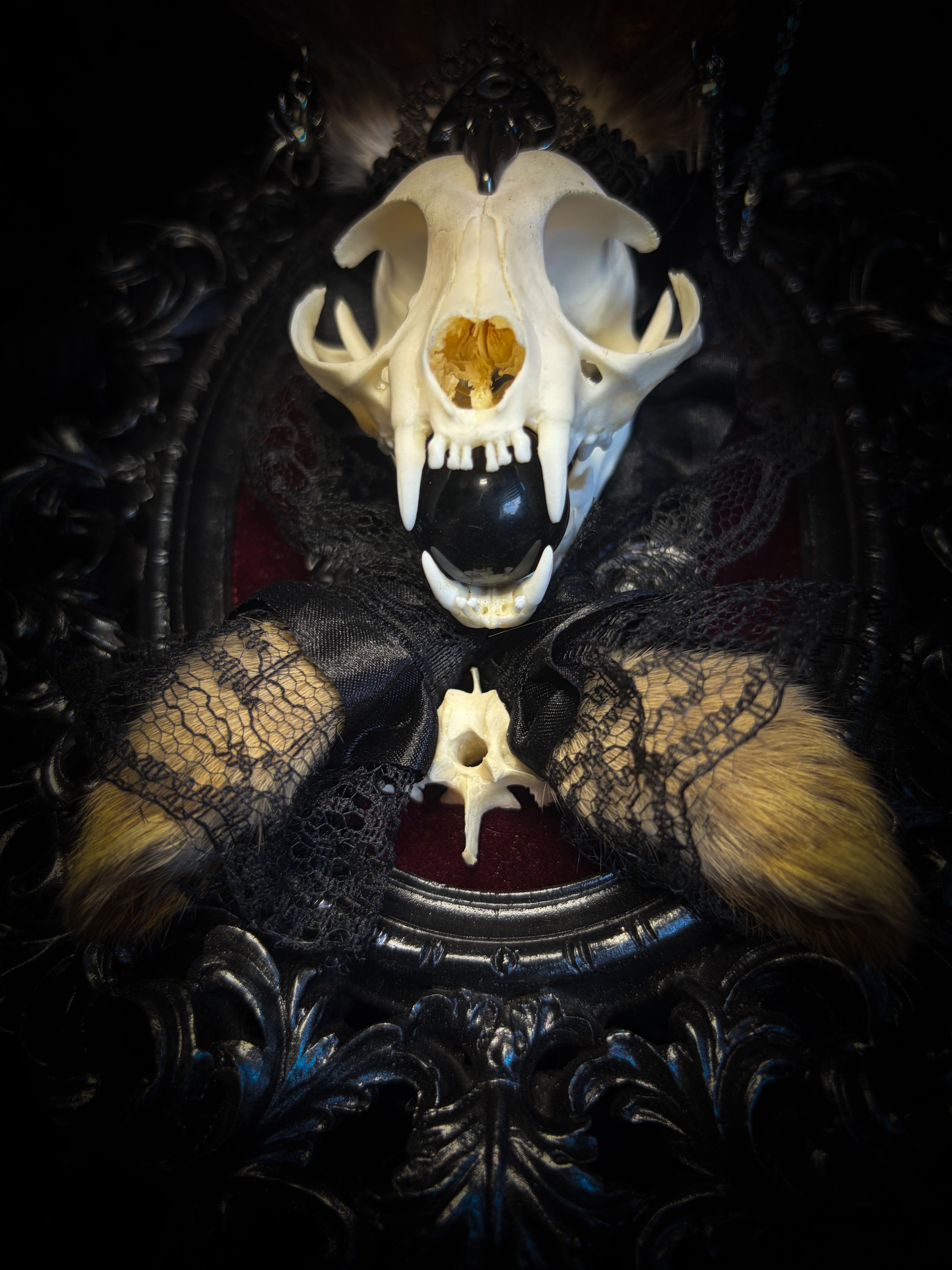 Vampiria whimsical shadowbox — cat skull with rabbit fur ears, red velvet, black lace, ouija planchette and ornate silver-black frame