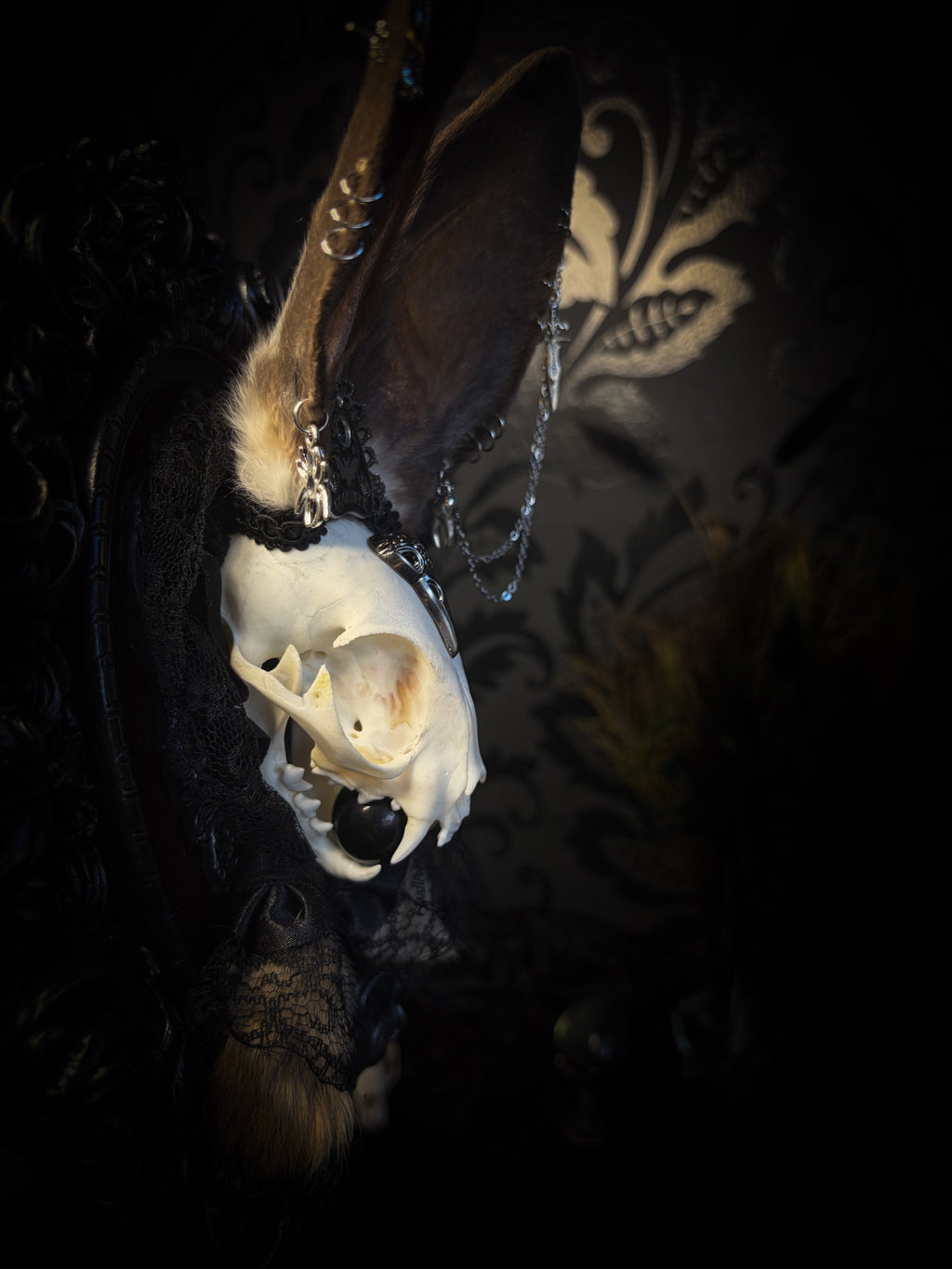 Vampiria whimsical shadowbox — cat skull with rabbit fur ears, red velvet, black lace, ouija planchette and ornate silver-black frame