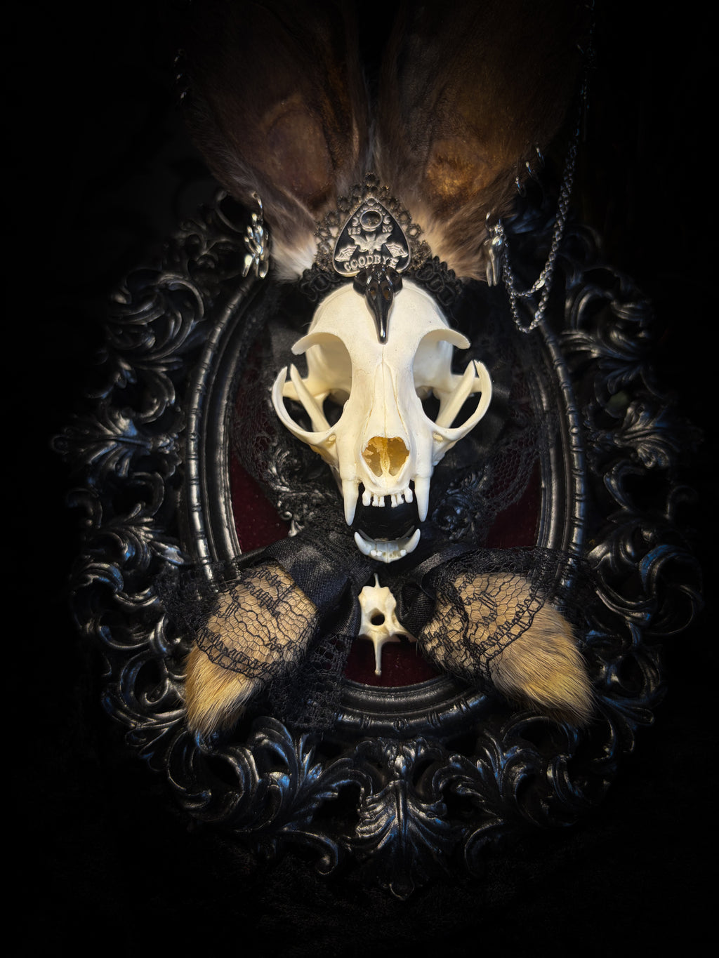 Vampiria whimsical shadowbox — cat skull with rabbit fur ears, red velvet, black lace, ouija planchette and ornate silver-black frame