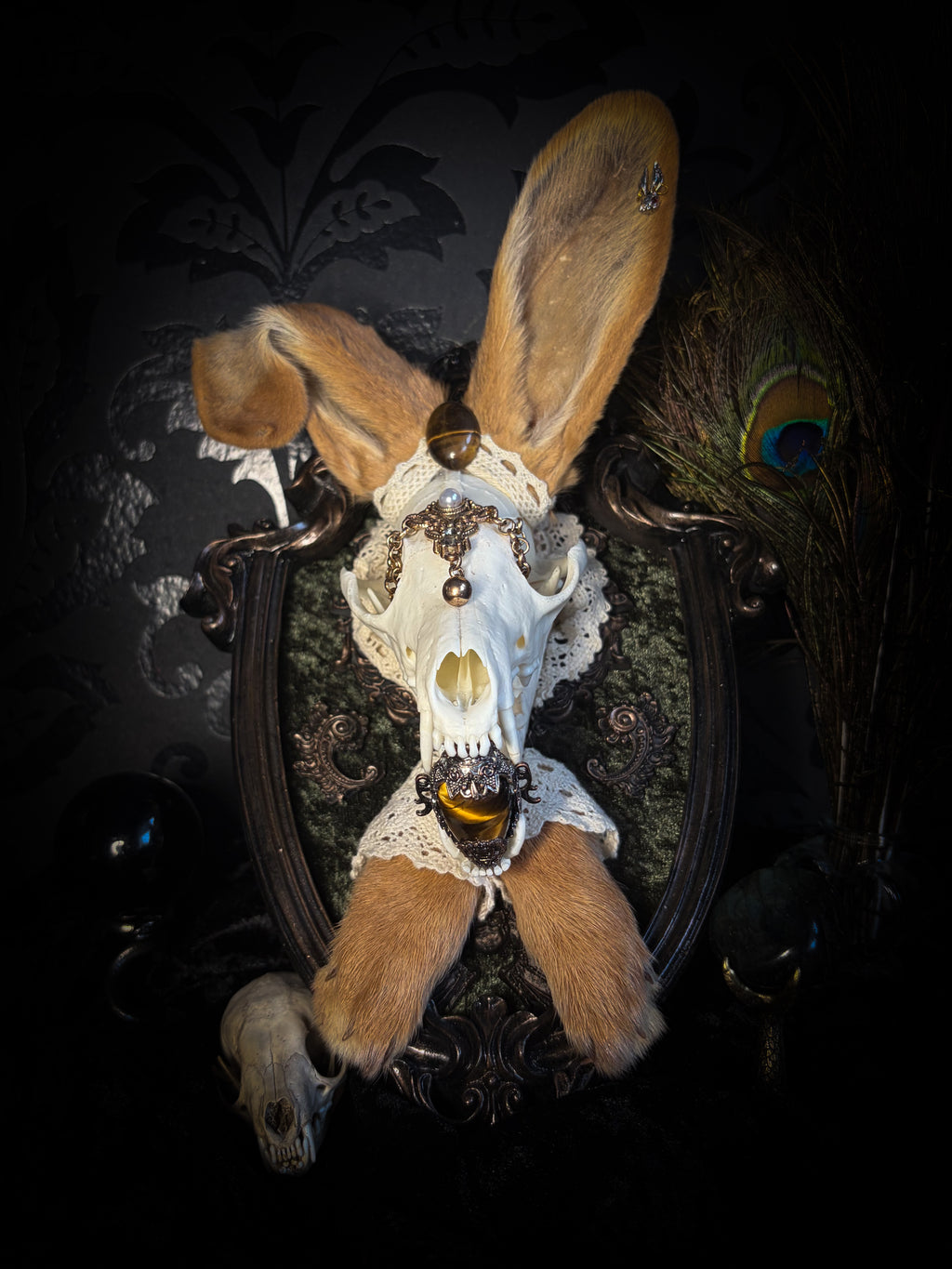 Foxy Bunny whimsical shadowbox — fox skull with rabbit fur ears, rabbit paws, lace collar, tiger's eye and ornate dark frame