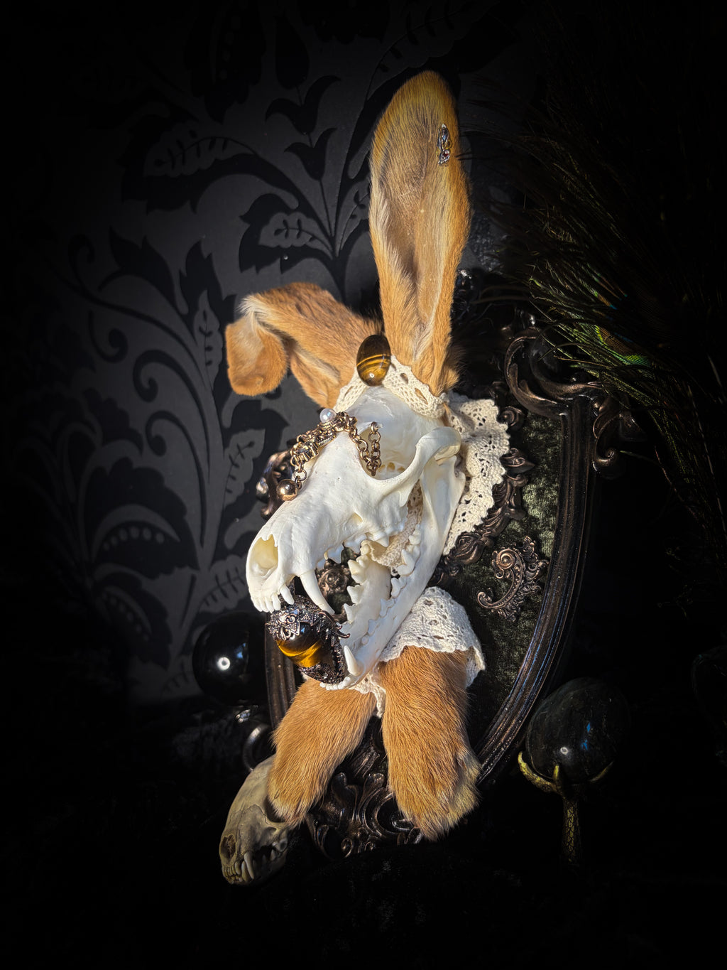 Foxy Bunny whimsical shadowbox — fox skull with rabbit fur ears, rabbit paws, lace collar, tiger's eye and ornate dark frame
