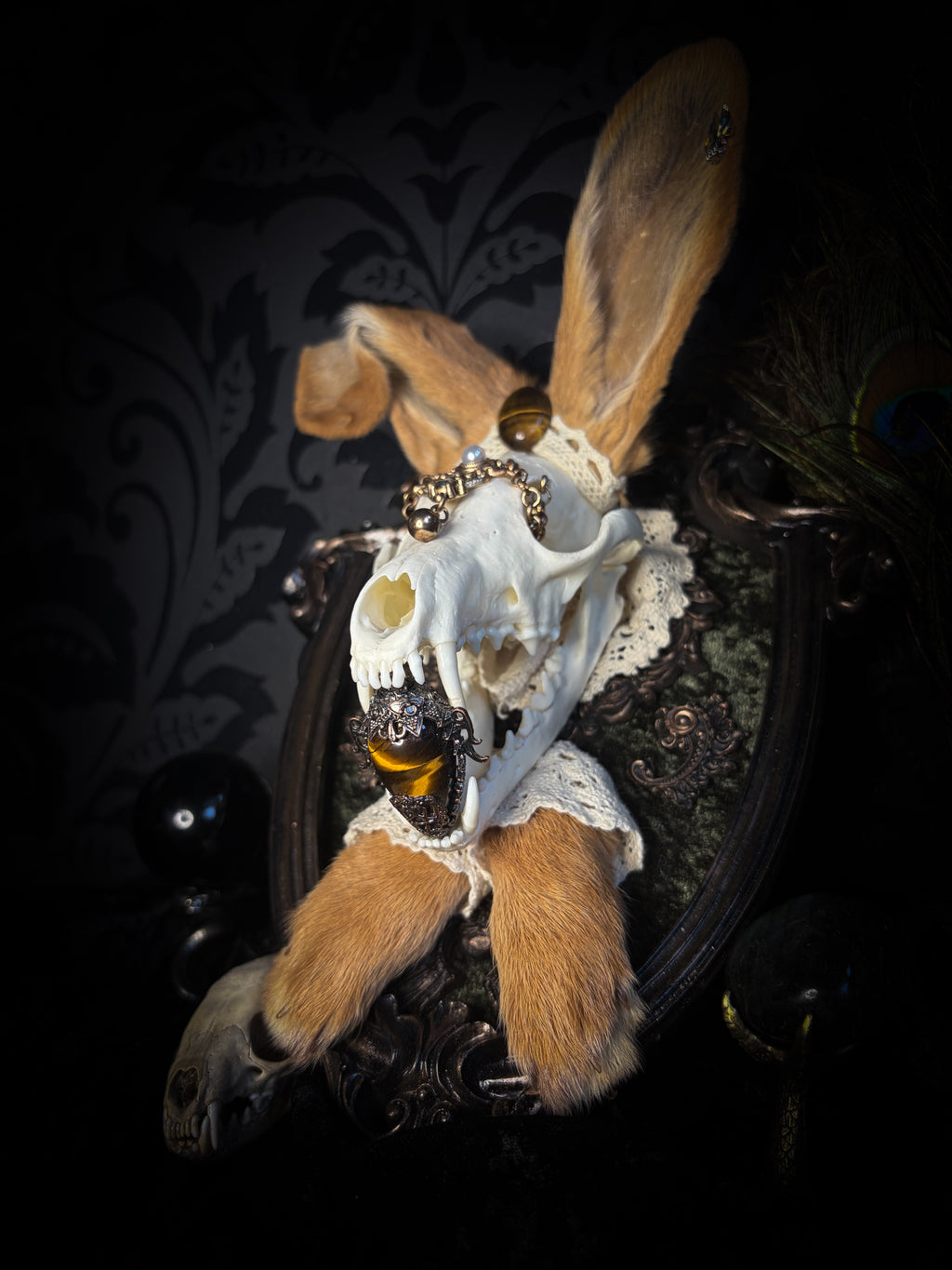 Foxy Bunny whimsical shadowbox — fox skull with rabbit fur ears, rabbit paws, lace collar, tiger's eye and ornate dark frame