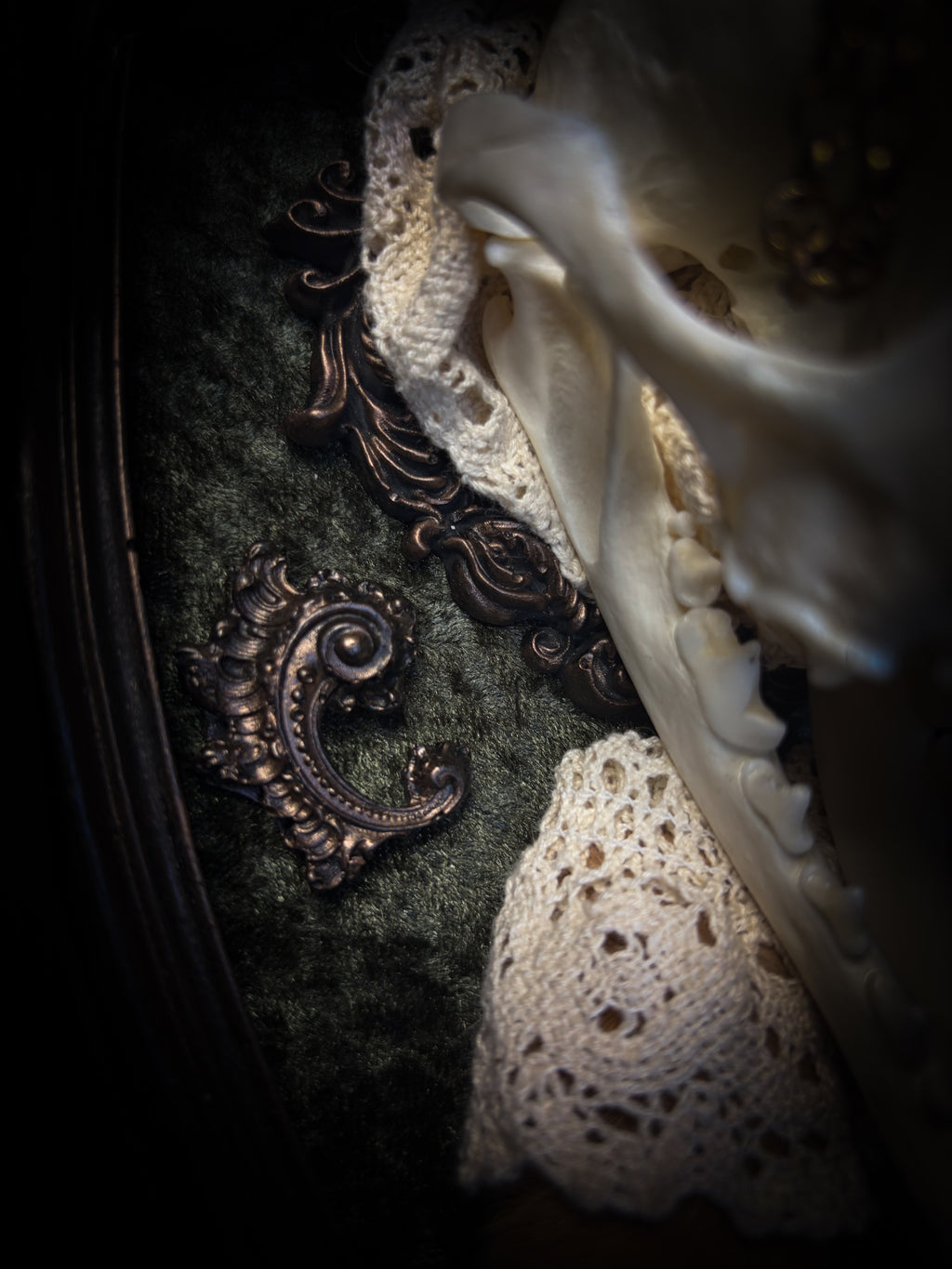 Foxy Bunny whimsical shadowbox — fox skull with rabbit fur ears, rabbit paws, lace collar, tiger's eye and ornate dark frame