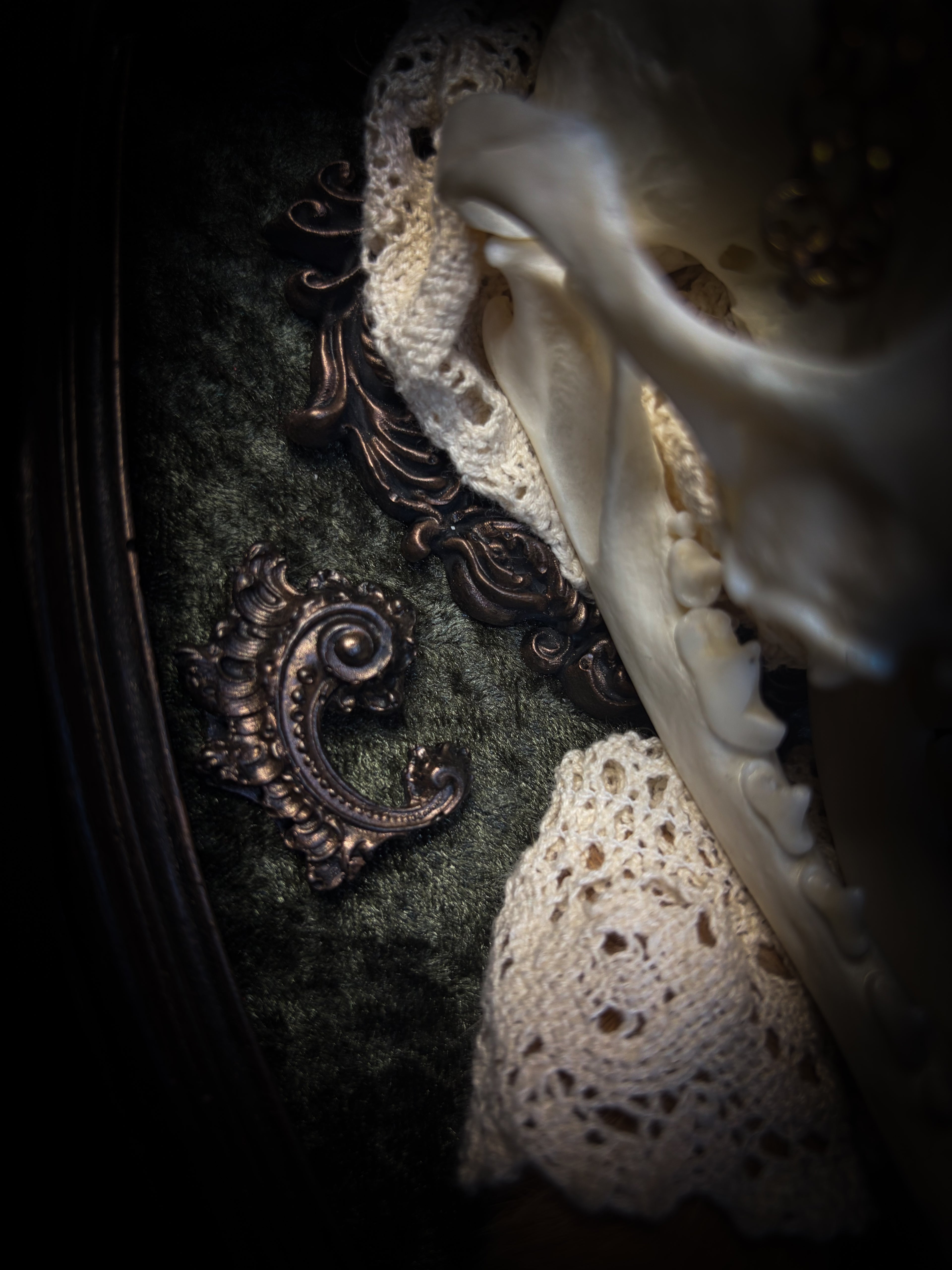Foxy Bunny whimsical shadowbox — fox skull with rabbit fur ears, rabbit paws, lace collar, tiger's eye and ornate dark frame