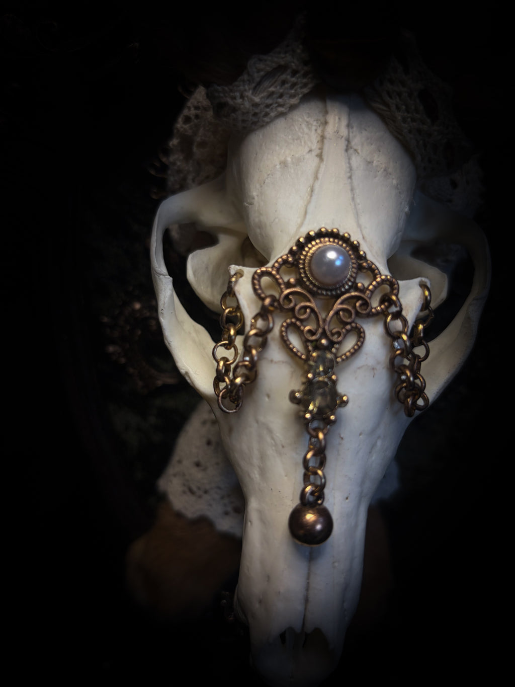 Foxy Bunny whimsical shadowbox — fox skull with rabbit fur ears, rabbit paws, lace collar, tiger's eye and ornate dark frame