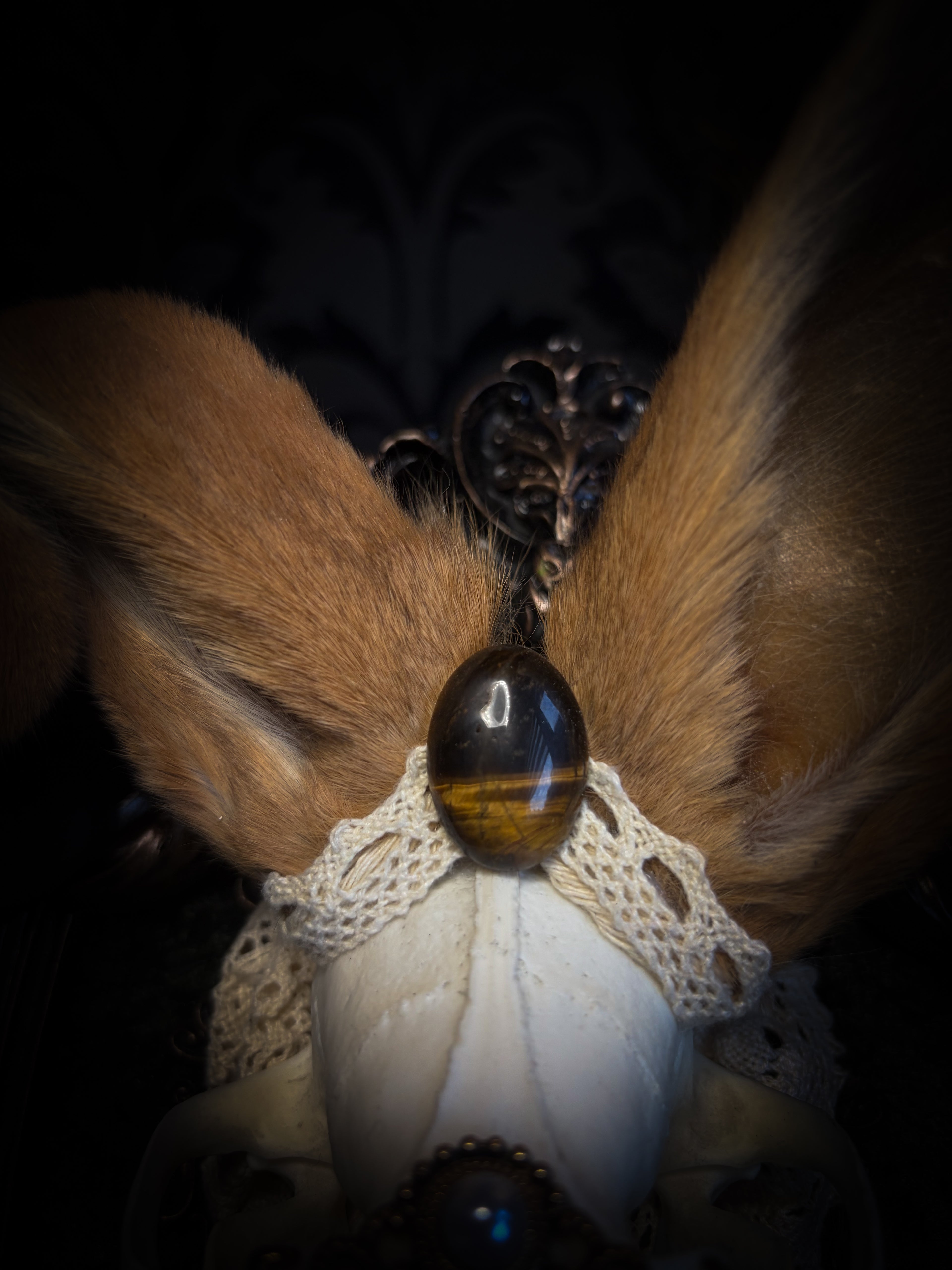 Foxy Bunny whimsical shadowbox — fox skull with rabbit fur ears, rabbit paws, lace collar, tiger's eye and ornate dark frame
