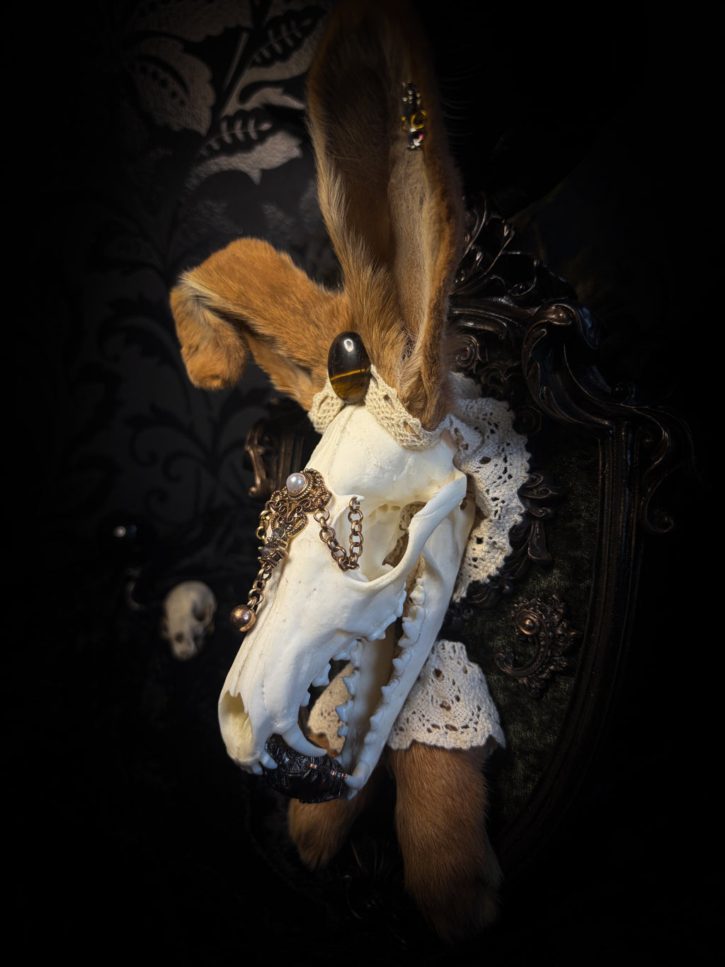 Foxy Bunny whimsical shadowbox — fox skull with rabbit fur ears, rabbit paws, lace collar, tiger's eye and ornate dark frame