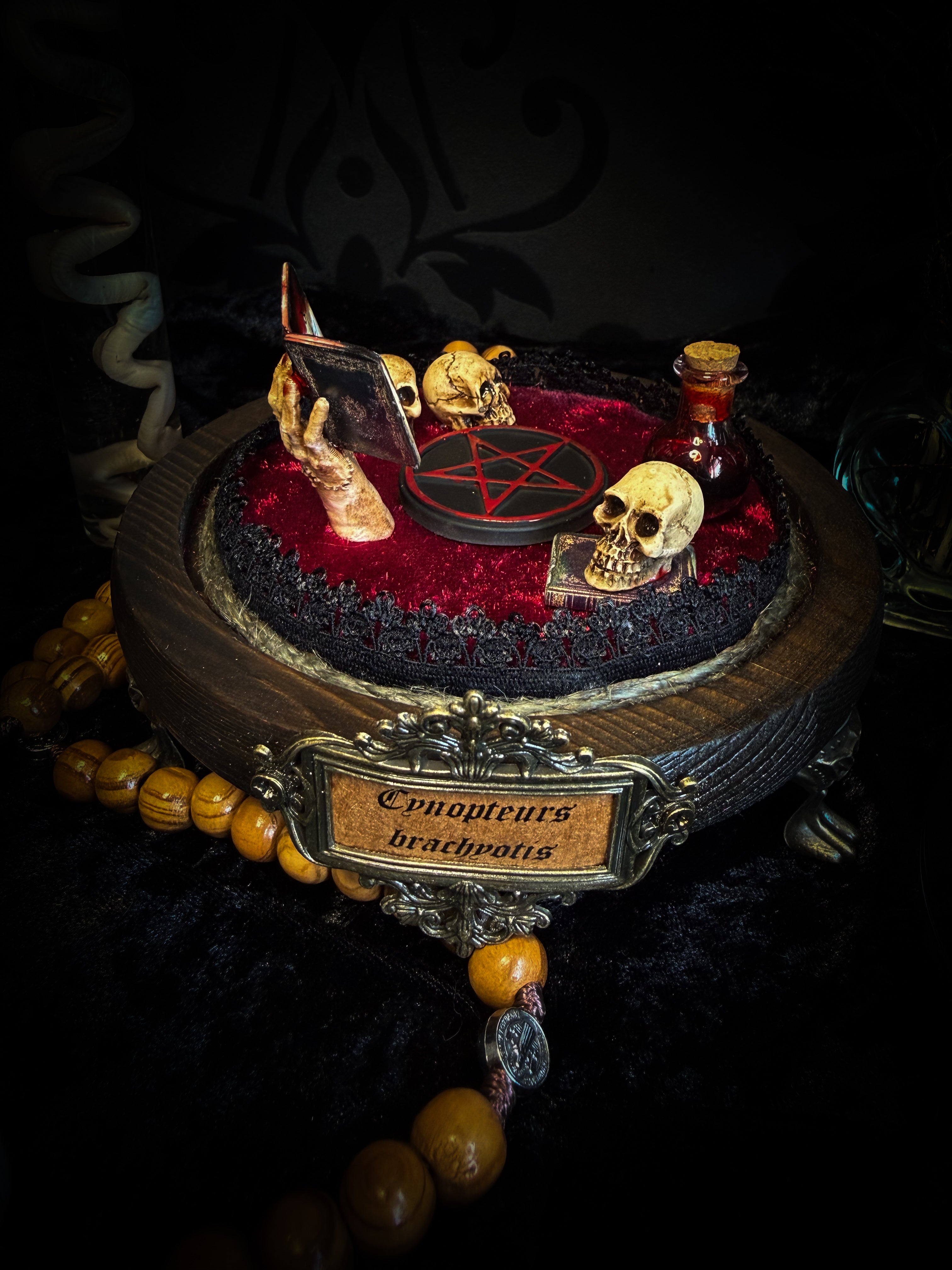 The Ritual — handmade gothic bat glass dome with preserved bat, red velvet, pentagram and occult elements | Morbid Oddities