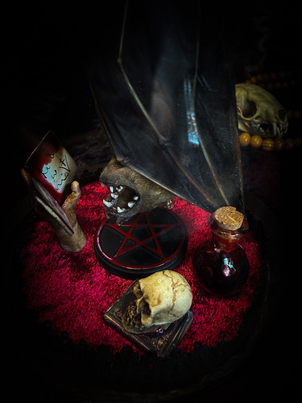 The Ritual — handmade gothic bat glass dome with preserved bat, red velvet, pentagram and occult elements | Morbid Oddities