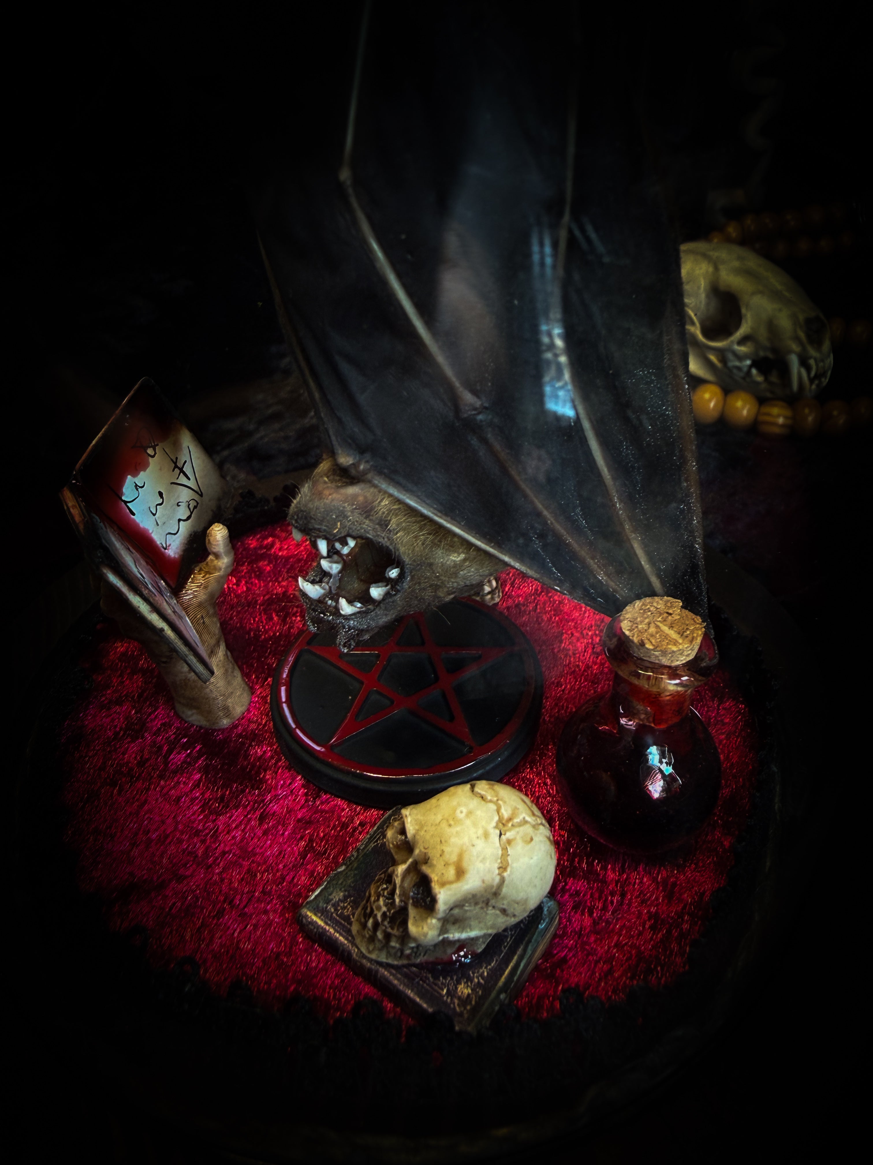 The Ritual — handmade gothic bat glass dome with preserved bat, red velvet, pentagram and occult elements | Morbid Oddities