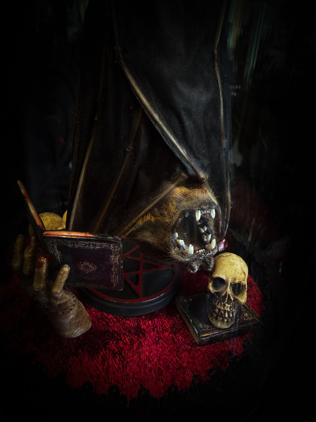 The Ritual — handmade gothic bat glass dome with preserved bat, red velvet, pentagram and occult elements | Morbid Oddities