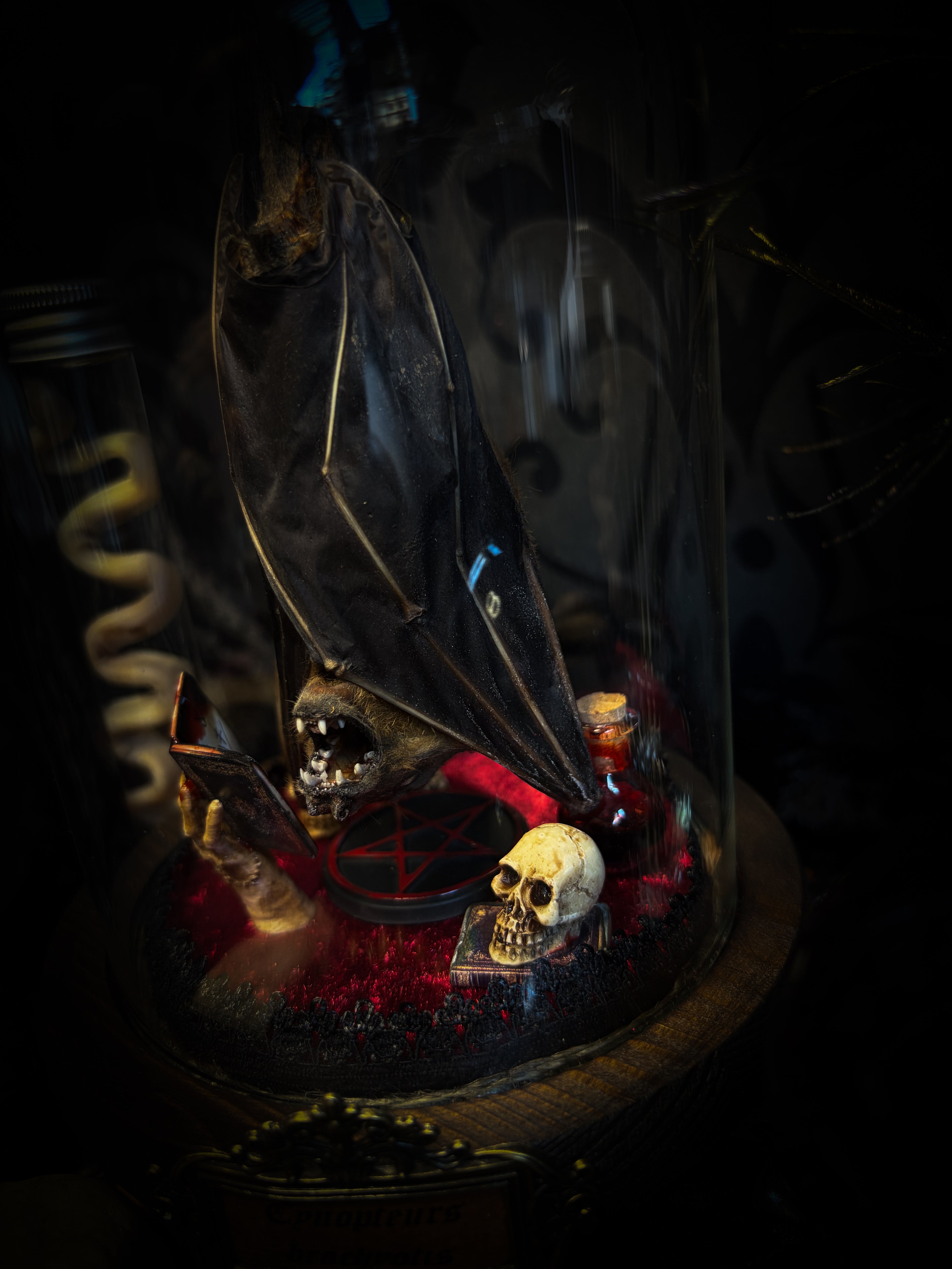 The Ritual — handmade gothic bat glass dome with preserved bat, red velvet, pentagram and occult elements | Morbid Oddities