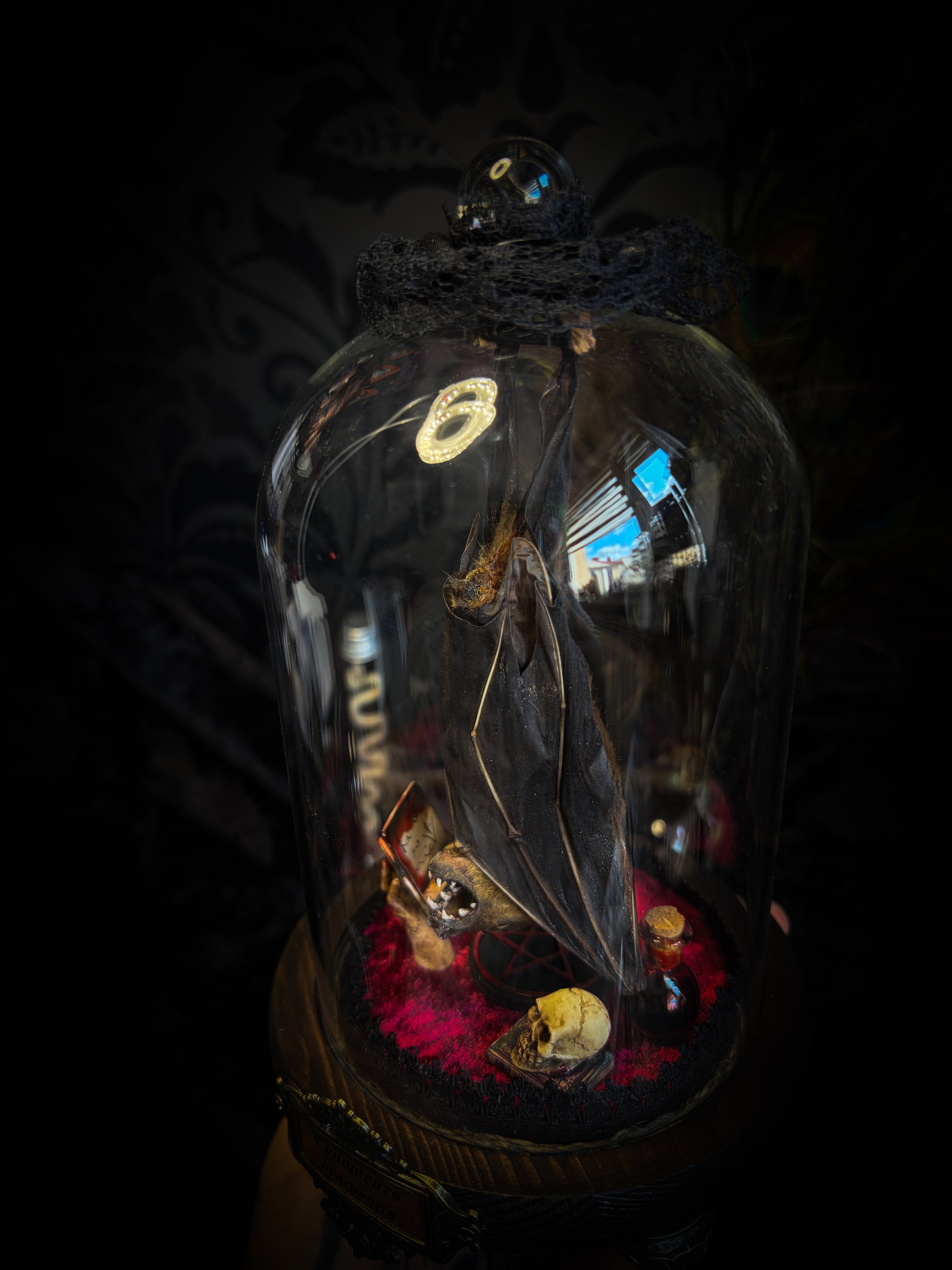 The Ritual — handmade gothic bat glass dome with preserved bat, red velvet, pentagram and occult elements | Morbid Oddities