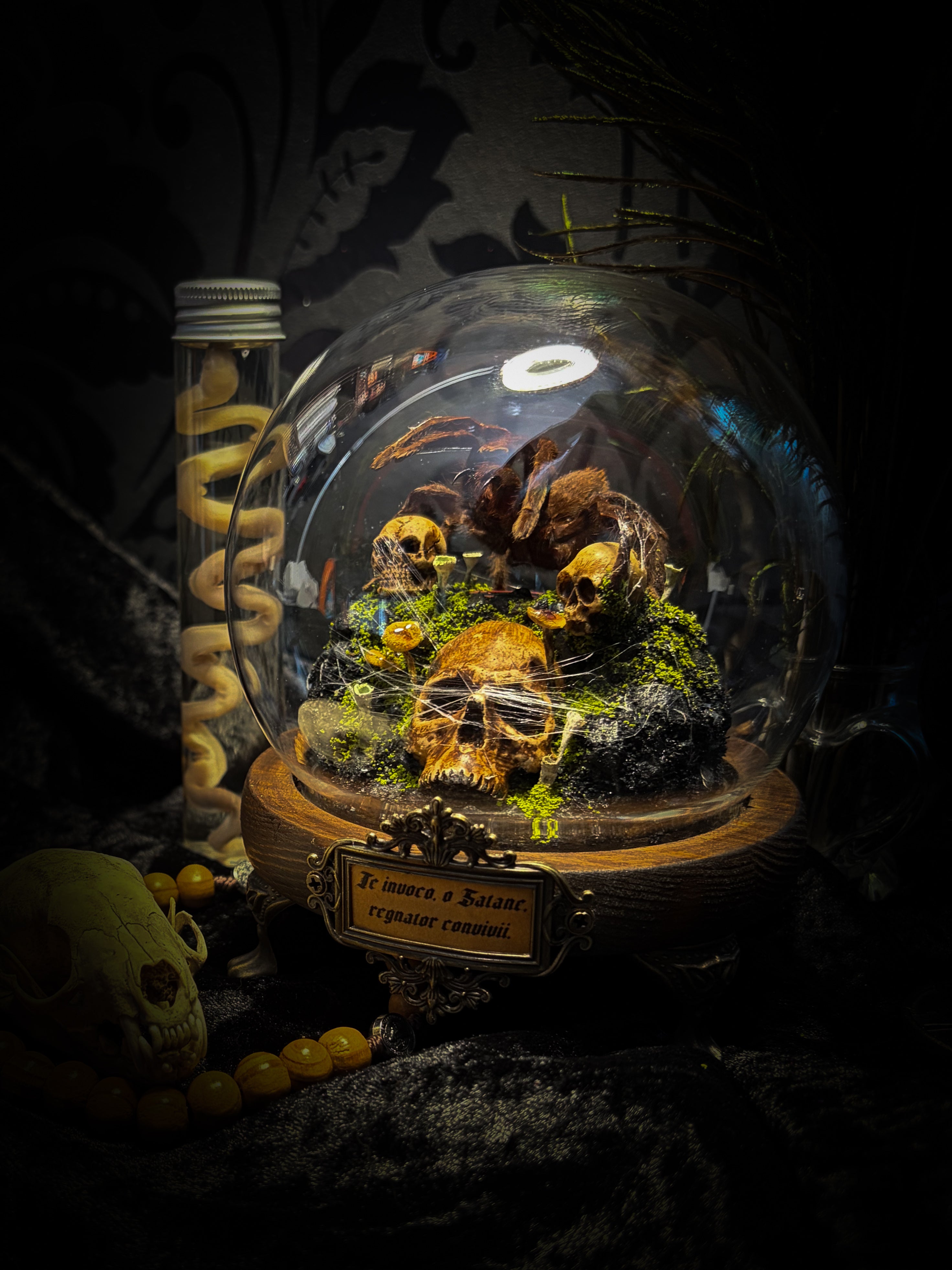 Handmade gothic tarantula glass dome with preserved Eurypelma spinicrus, skulls, moss, fungi and occult elements | Morbid Oddities