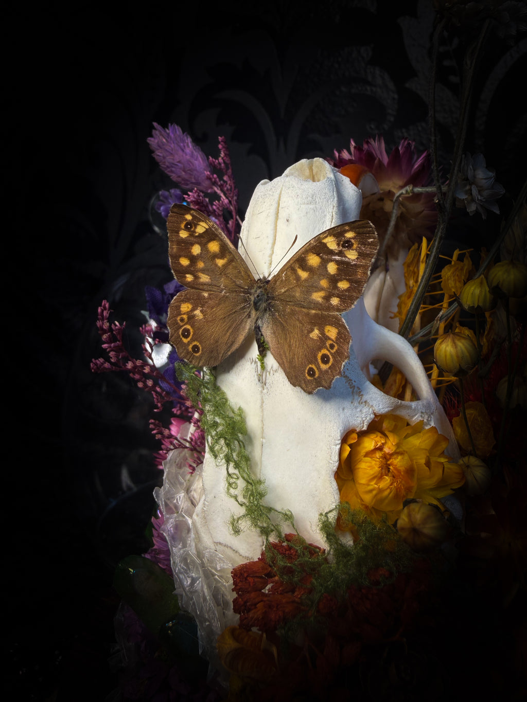 Handmade whimsical glass dome with nutria skull, Speckled Wood butterfly, summer and autumn botanicals, carved pumpkin and fluorite — Crossroads by Morbid Oddities