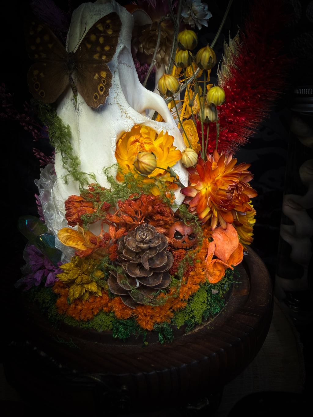 Handmade whimsical glass dome with nutria skull, Speckled Wood butterfly, summer and autumn botanicals, carved pumpkin and fluorite — Crossroads by Morbid Oddities
