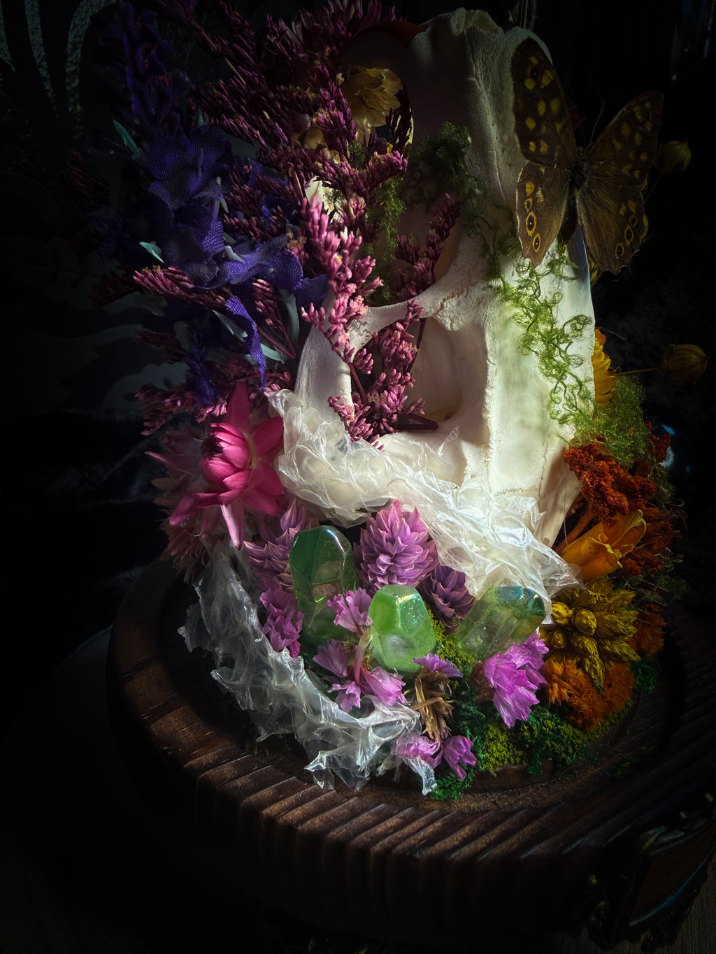 Handmade whimsical glass dome with nutria skull, Speckled Wood butterfly, summer and autumn botanicals, carved pumpkin and fluorite — Crossroads by Morbid Oddities