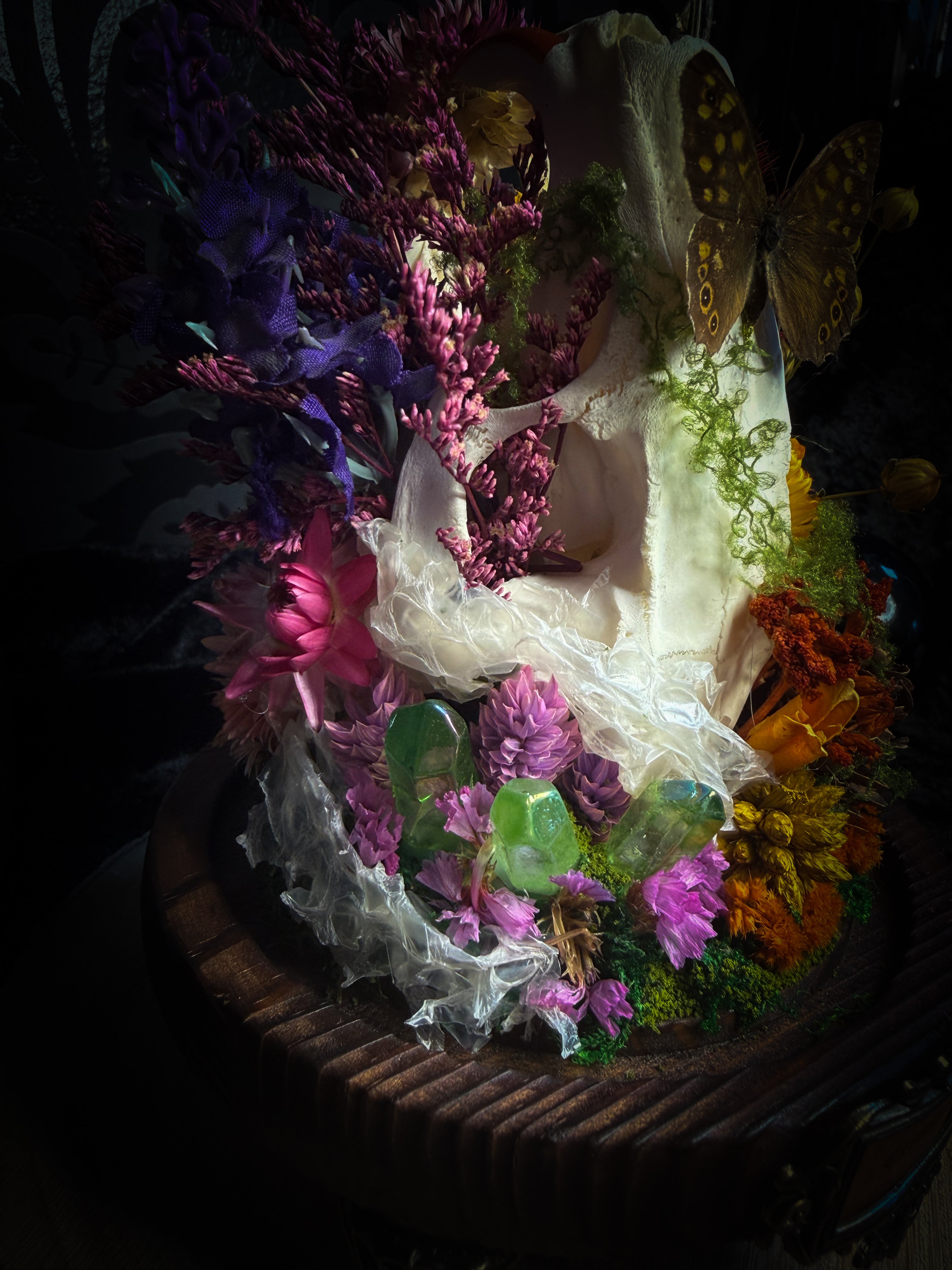 Handmade whimsical glass dome with nutria skull, Speckled Wood butterfly, summer and autumn botanicals, carved pumpkin and fluorite — Crossroads by Morbid Oddities