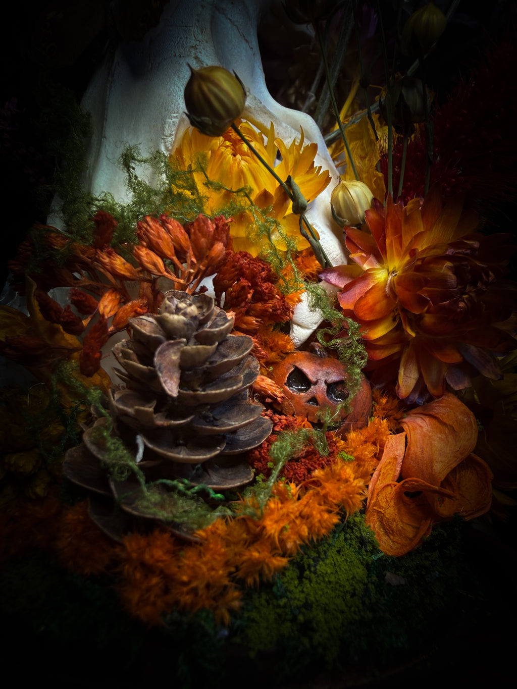 Handmade whimsical glass dome with nutria skull, Speckled Wood butterfly, summer and autumn botanicals, carved pumpkin and fluorite — Crossroads by Morbid Oddities