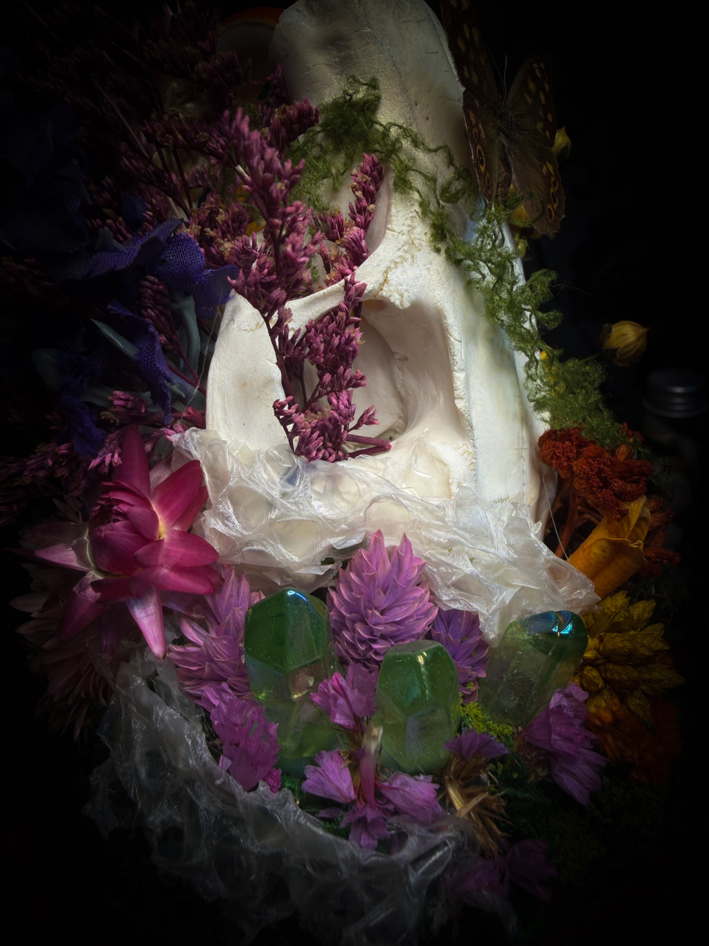 Handmade whimsical glass dome with nutria skull, Speckled Wood butterfly, summer and autumn botanicals, carved pumpkin and fluorite — Crossroads by Morbid Oddities